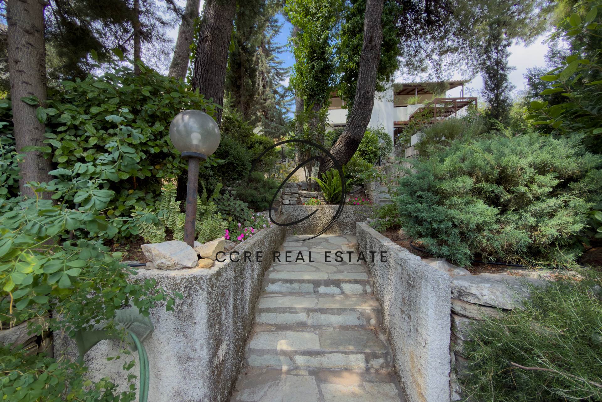 Gallery image 10