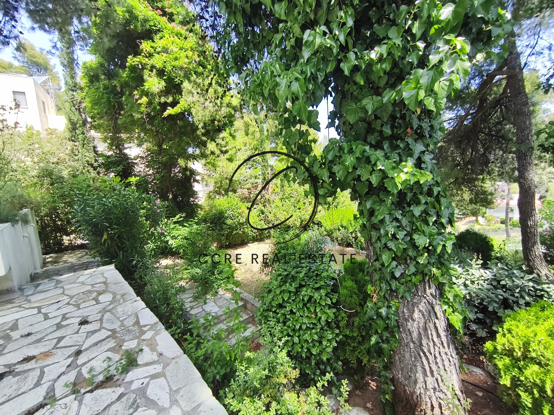 Gallery image 7