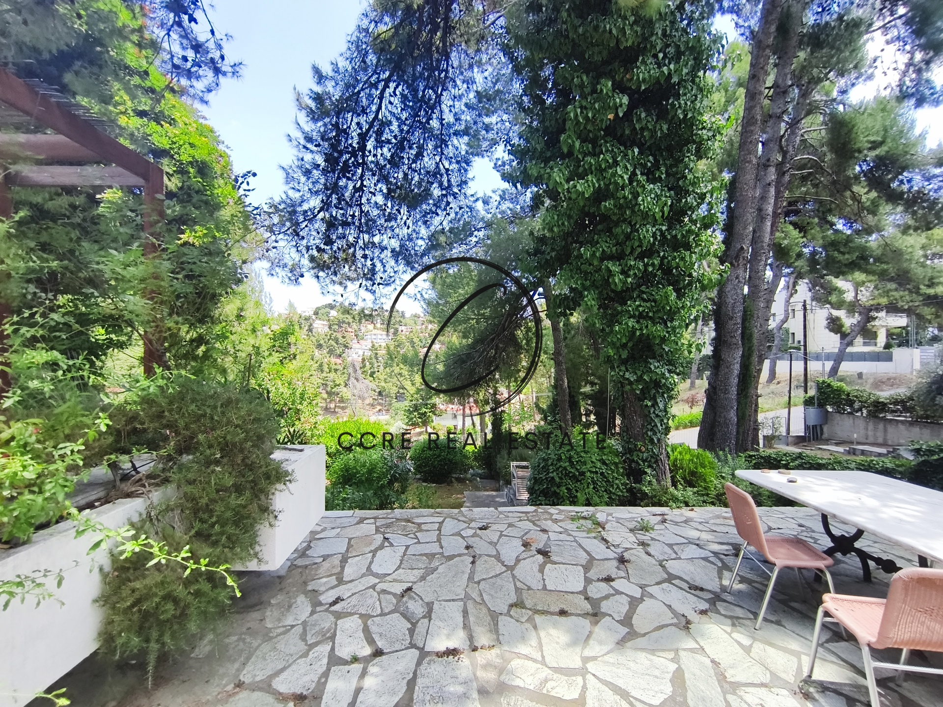 Gallery image 6