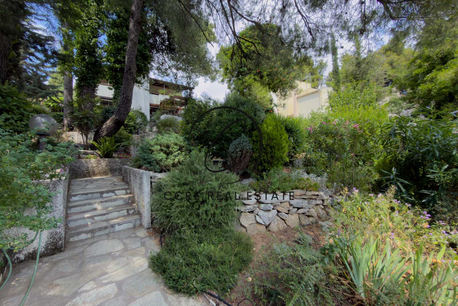 Gallery image 9