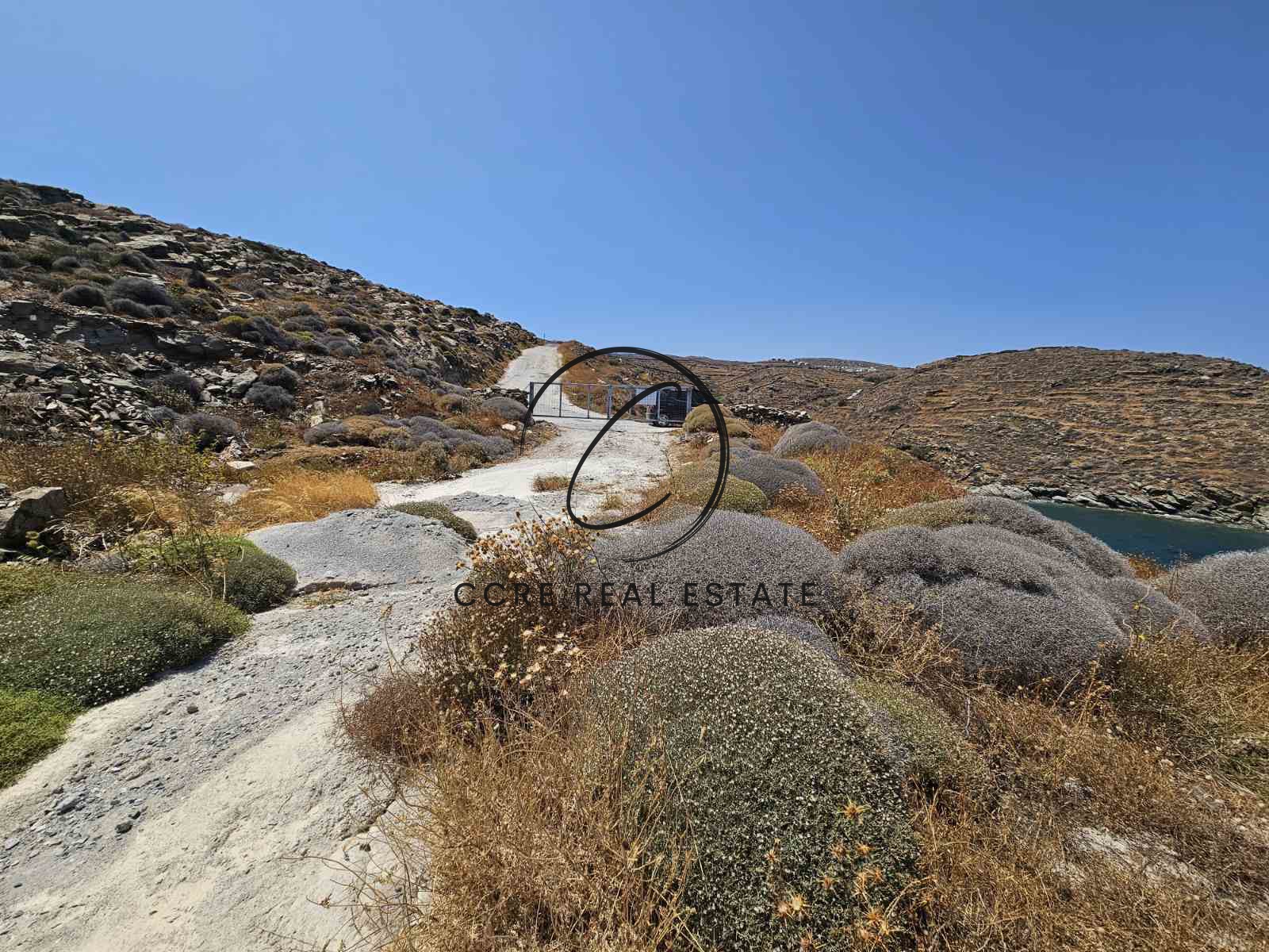 Gallery image 12