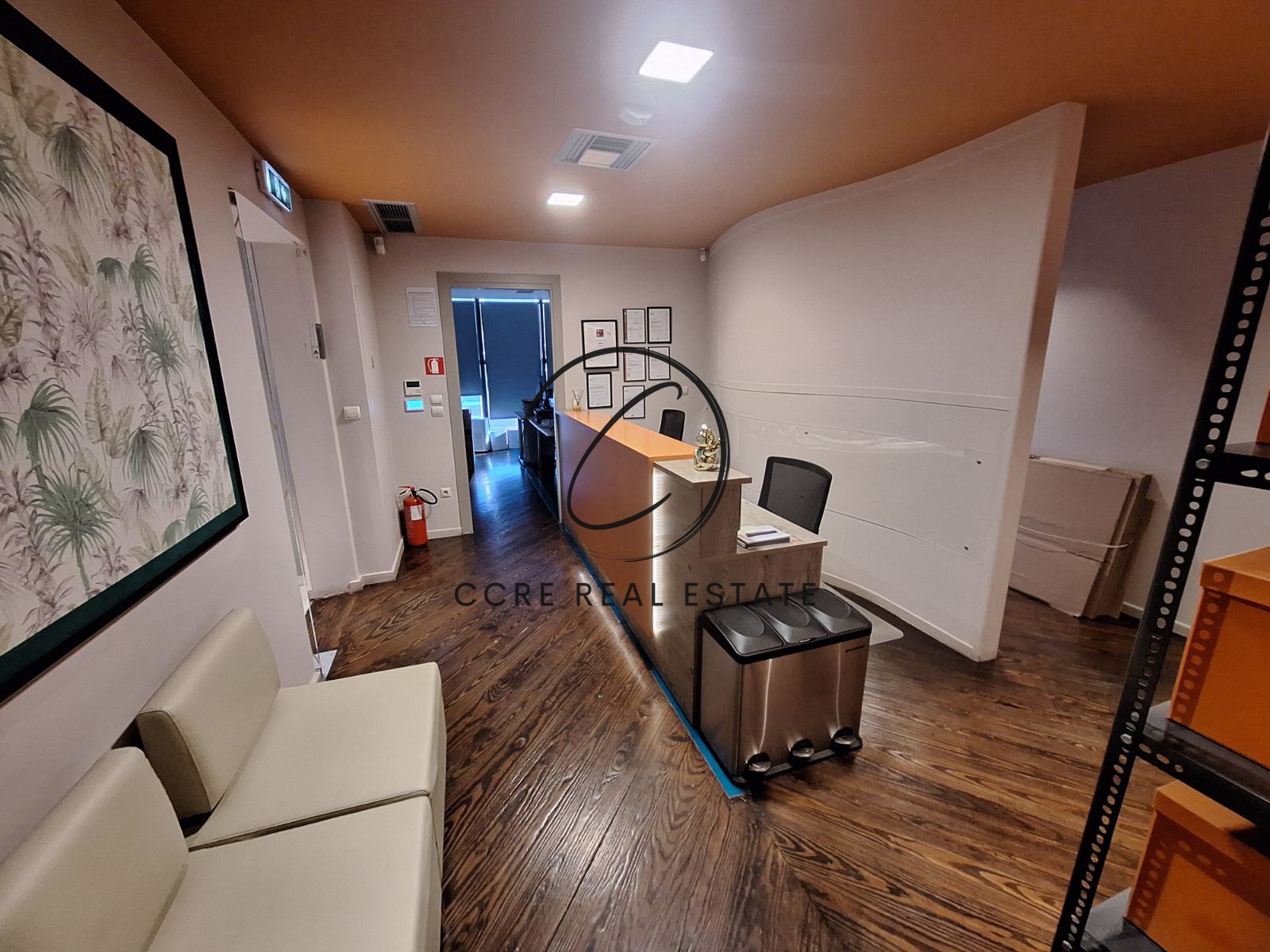Gallery image 6