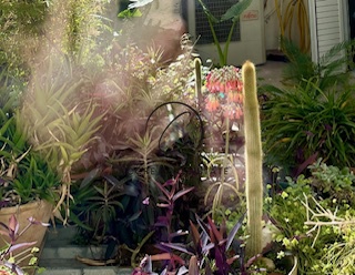 Gallery image 6
