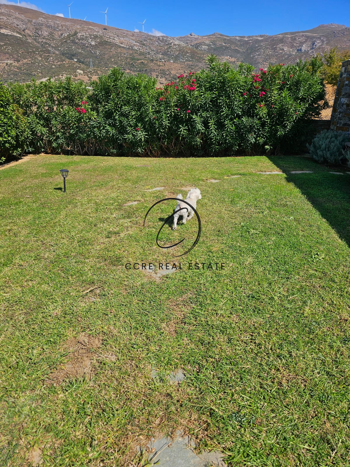 Gallery image 31