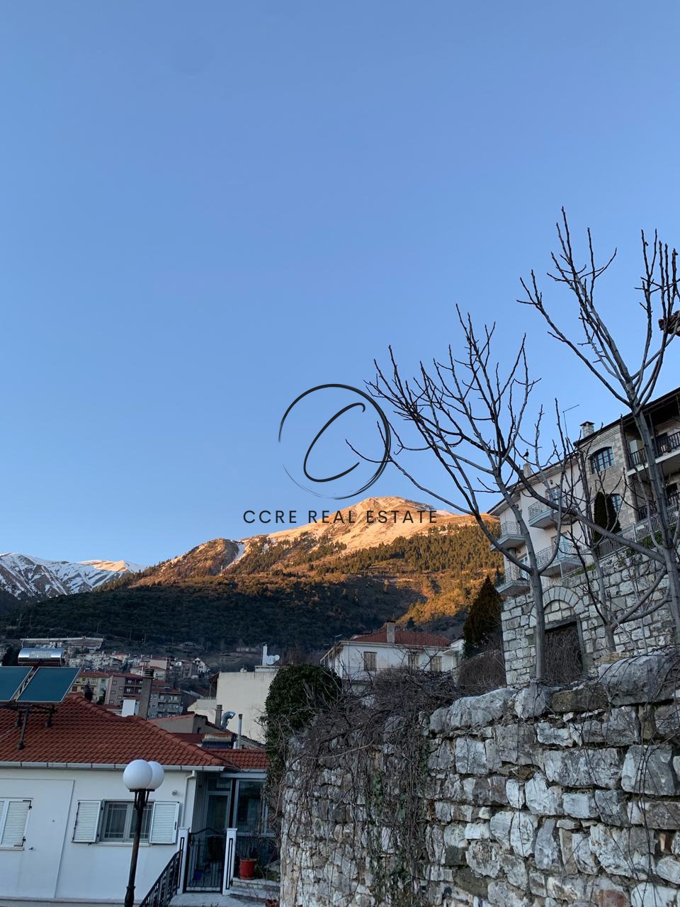 Gallery image 14