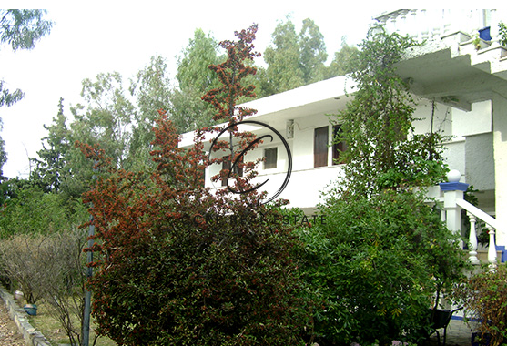 Gallery image 13