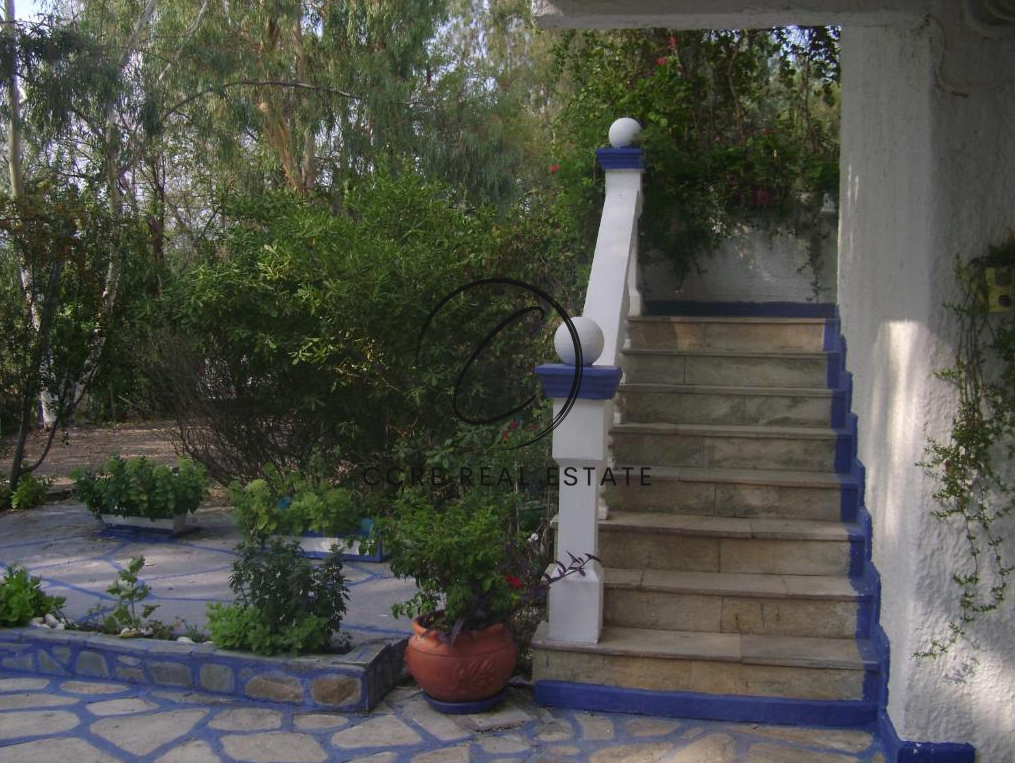 Gallery image 15