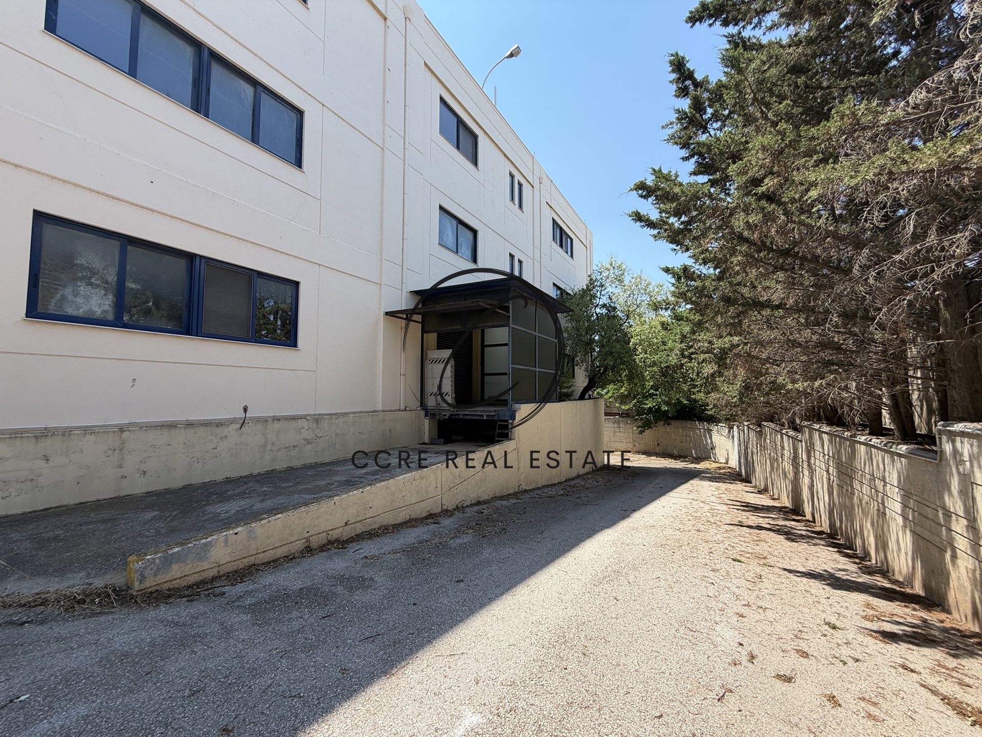 Gallery image 15
