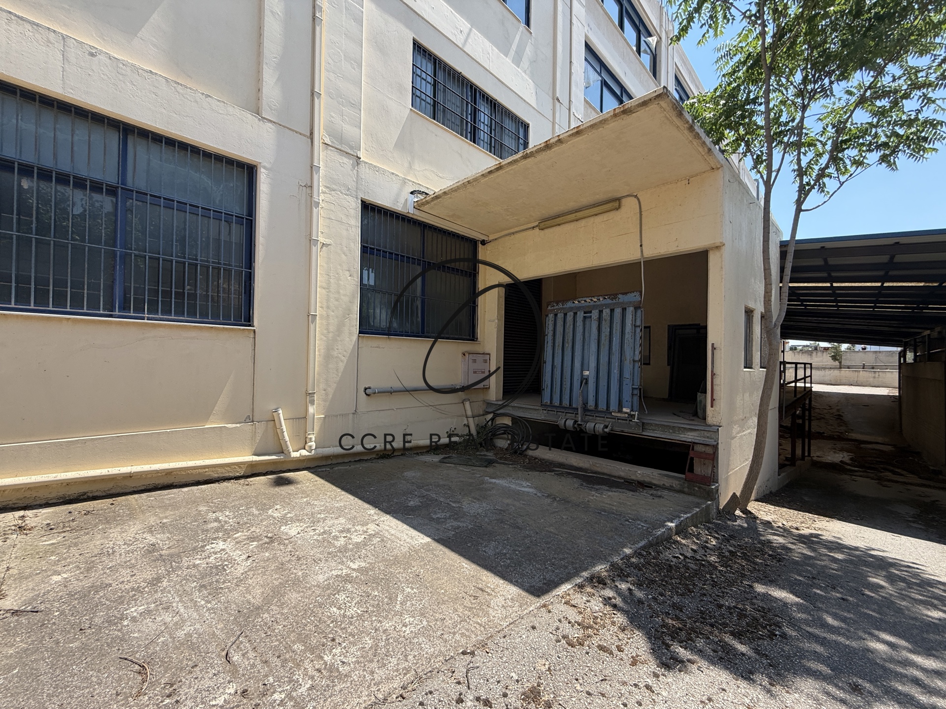 Gallery image 10