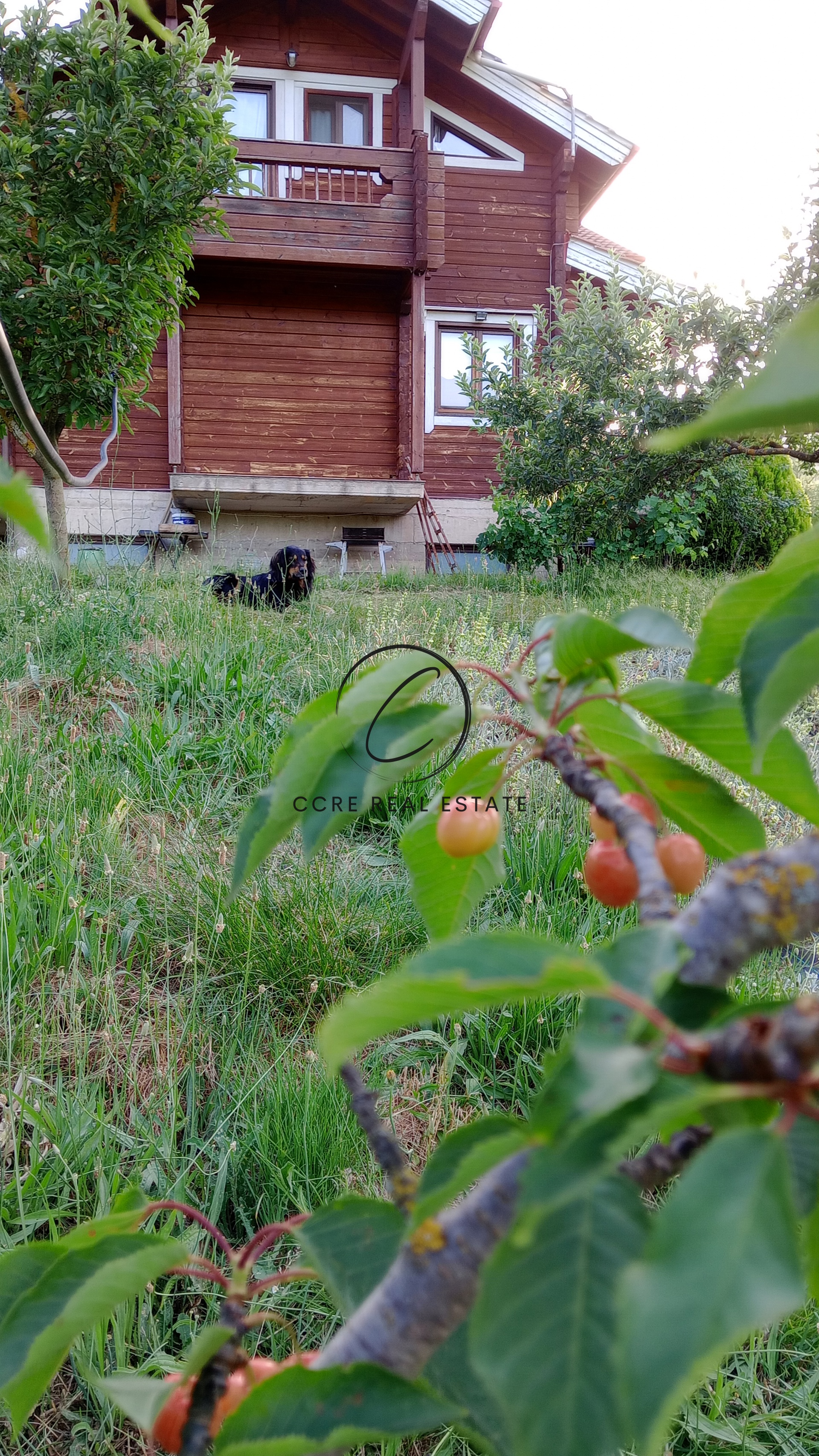 Gallery image 33