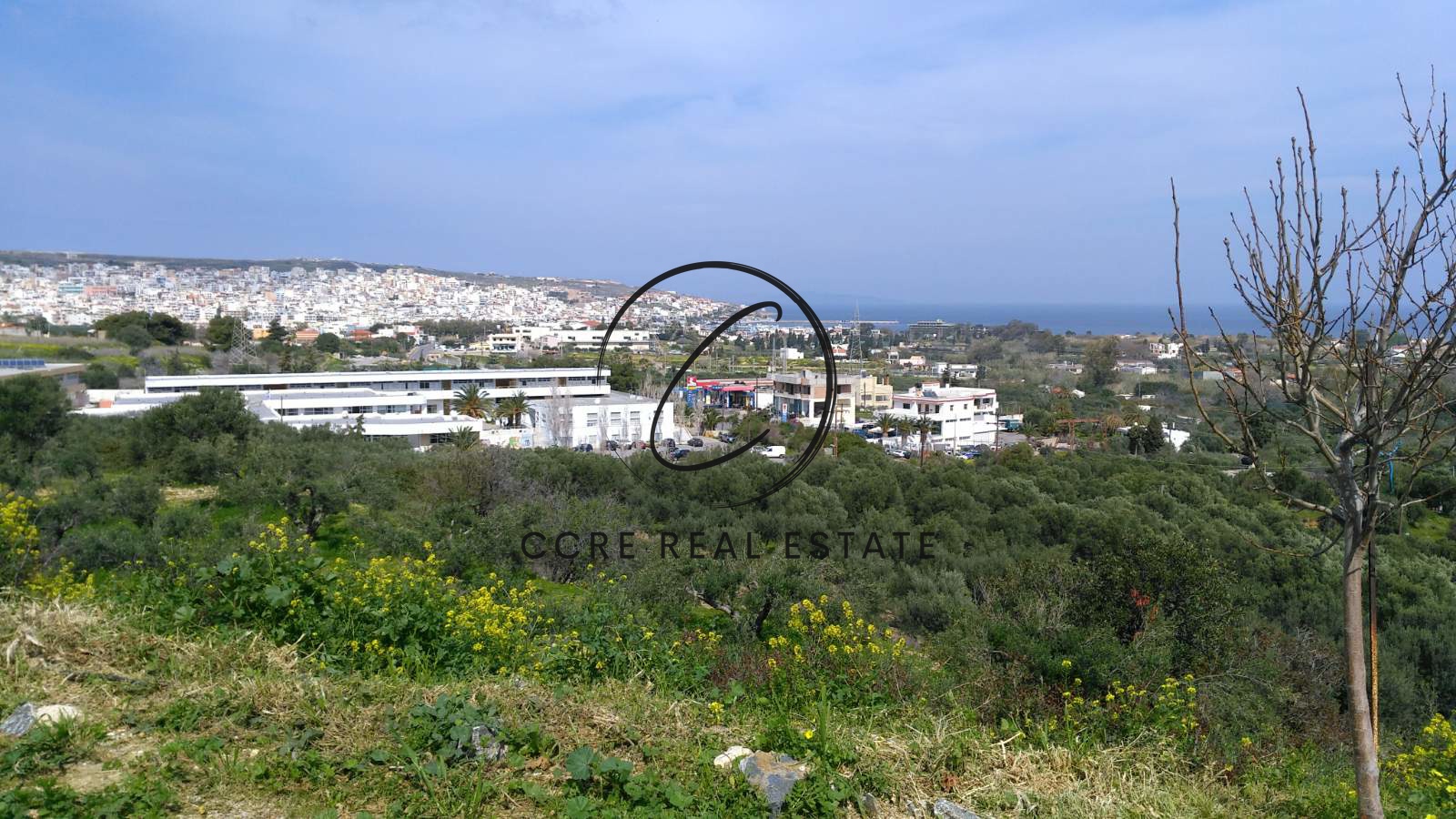 Gallery image 23