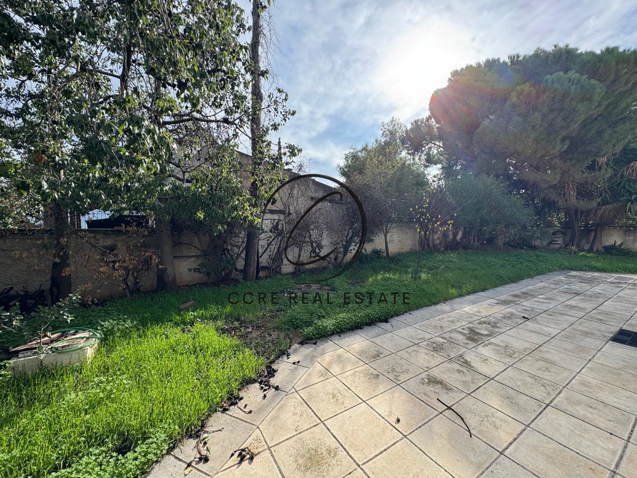 Gallery image 15