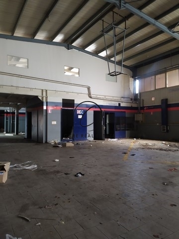 Gallery image 12