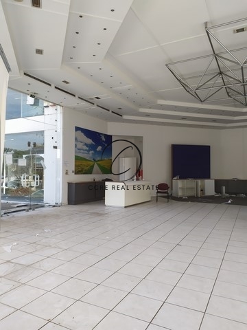 Gallery image 8