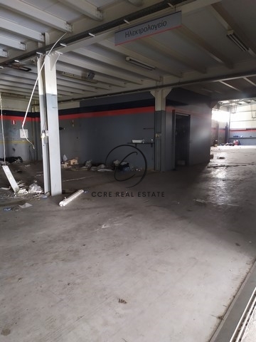 Gallery image 12