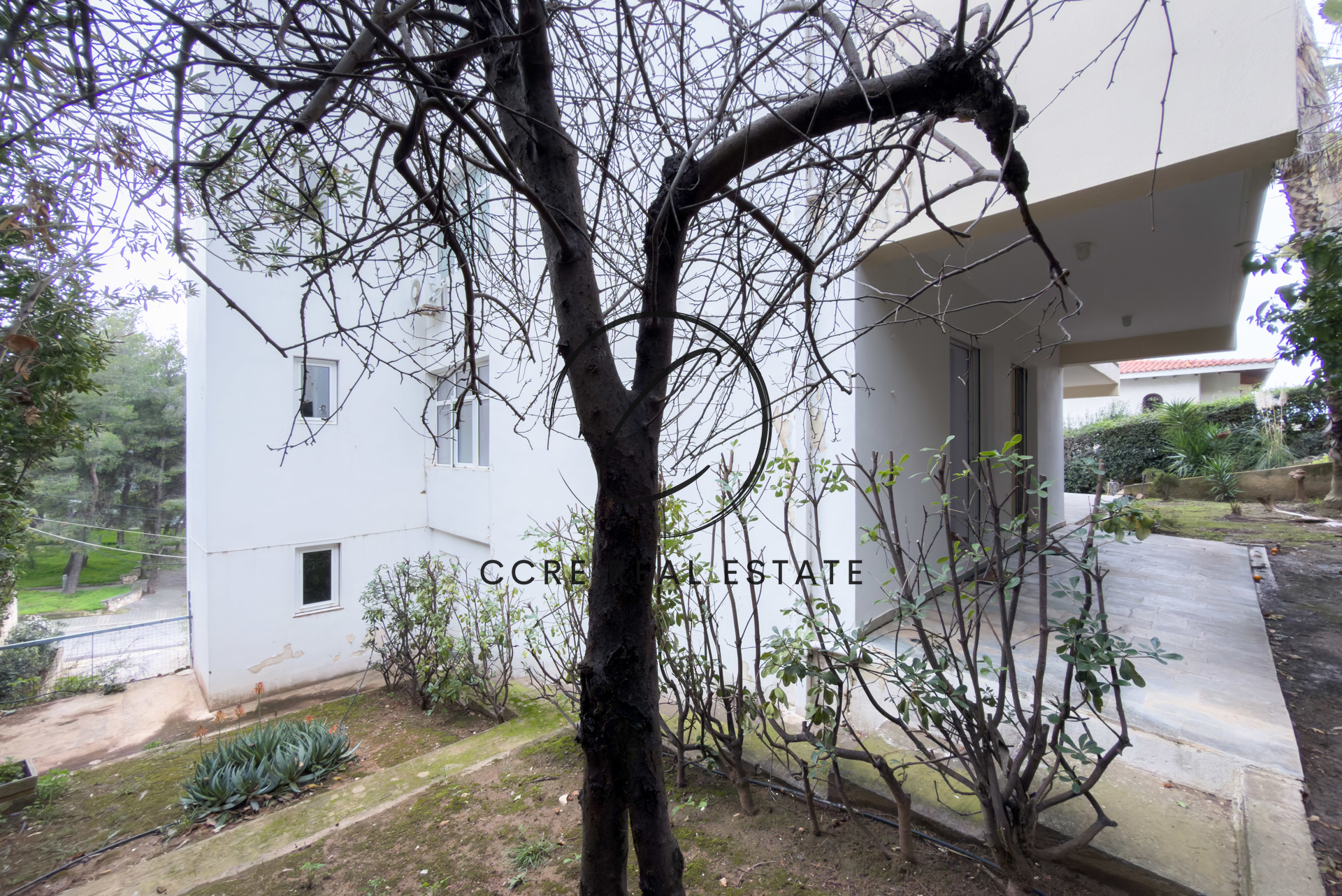 Gallery image 40
