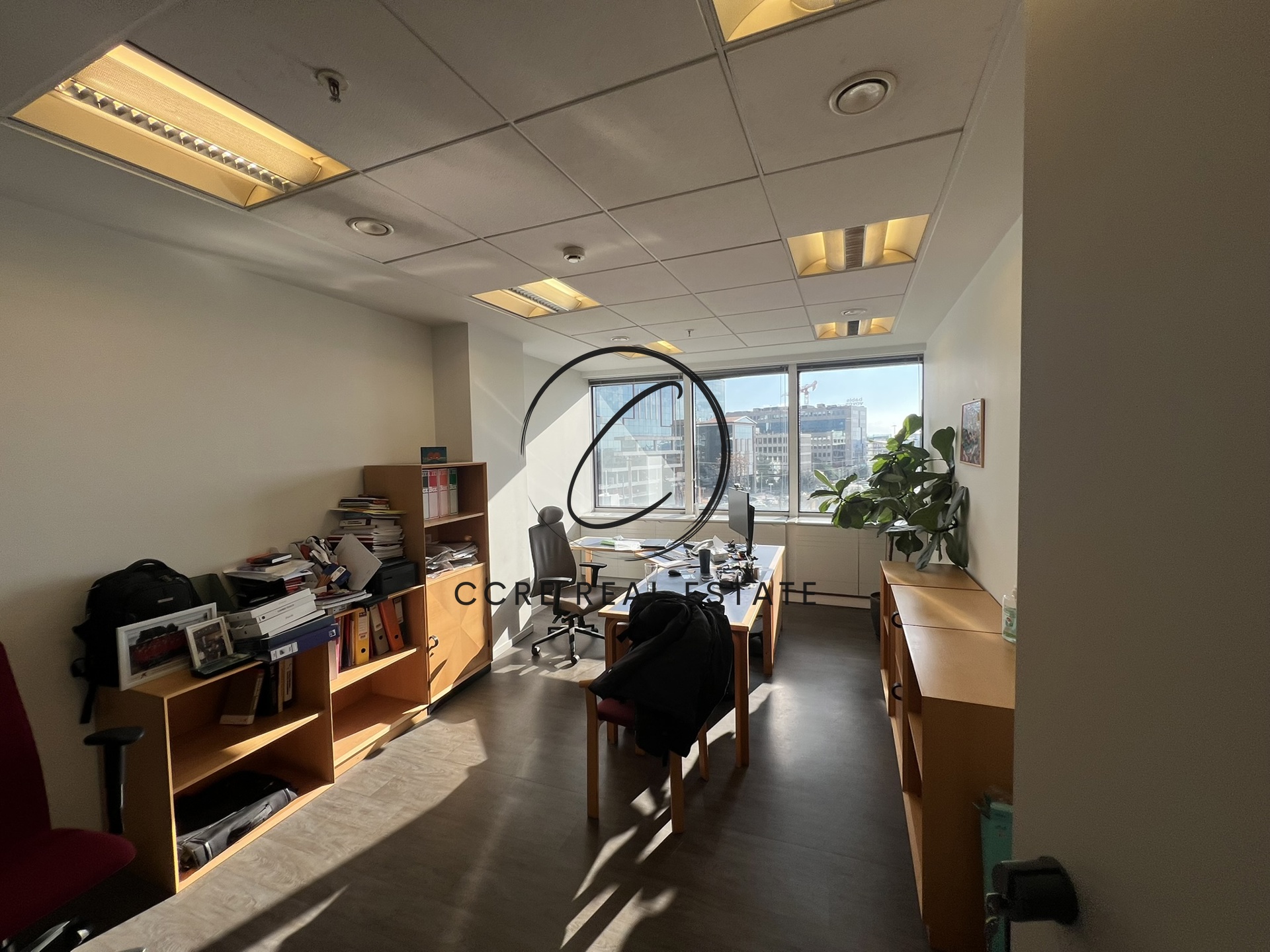 Gallery image 6