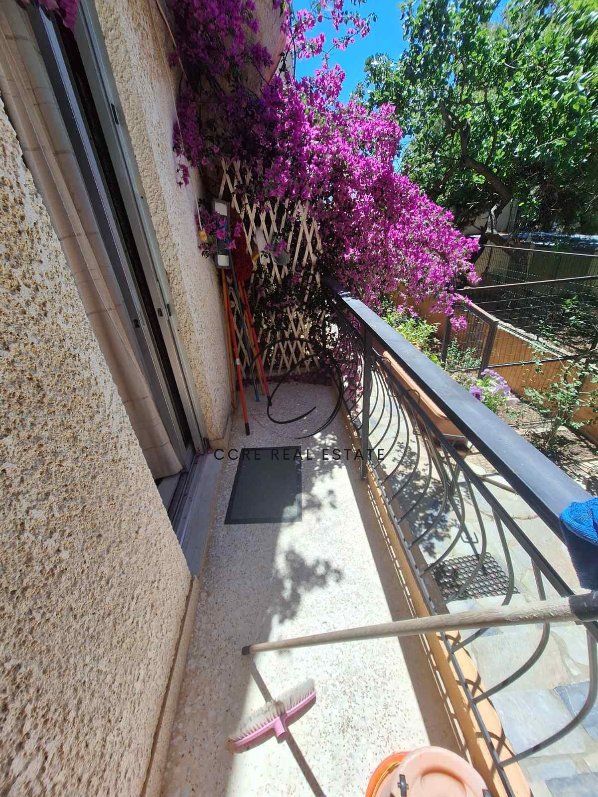 Gallery image 28