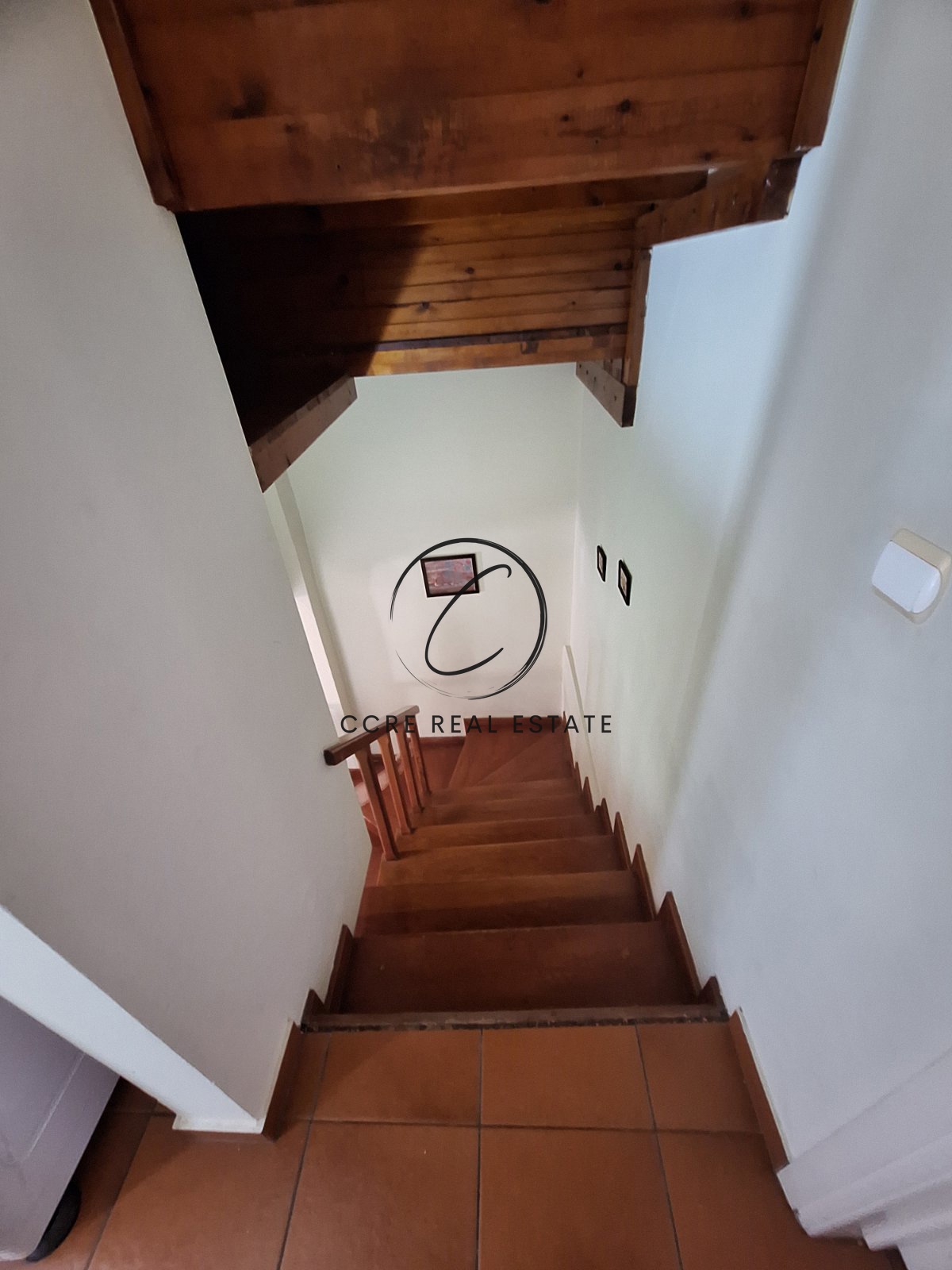 Gallery image 13