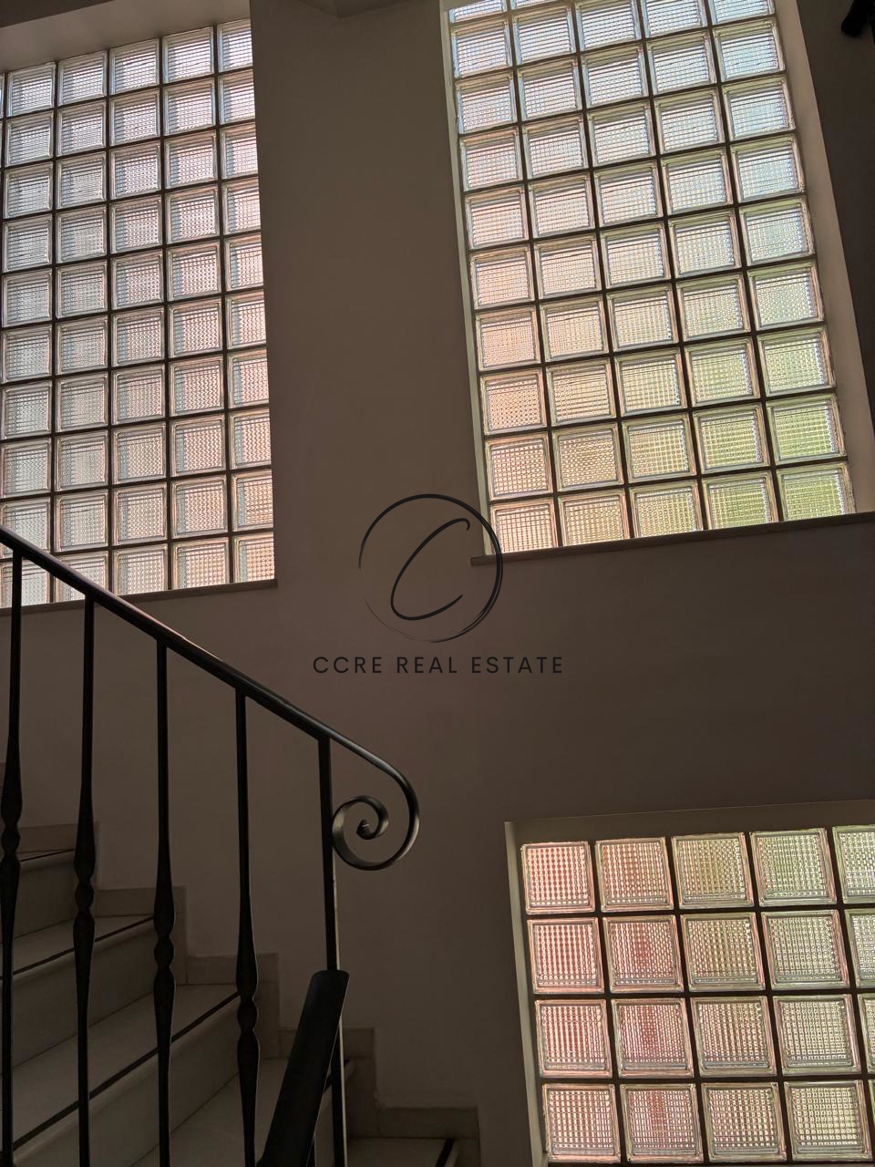 Gallery image 11