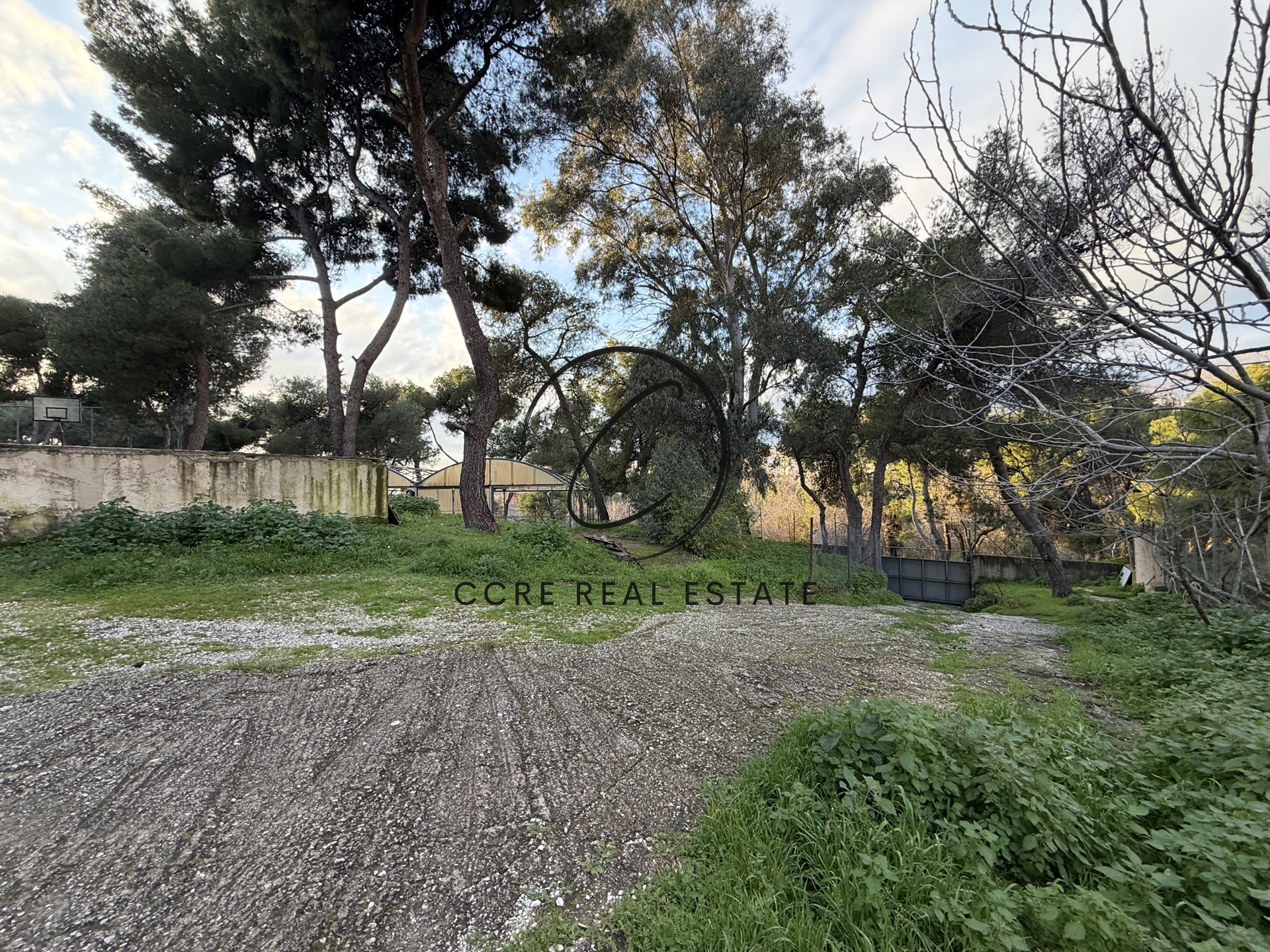 Gallery image 8