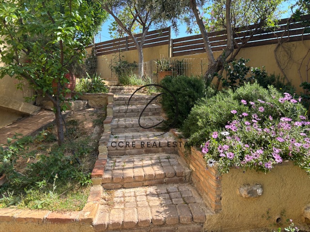 Gallery image 30