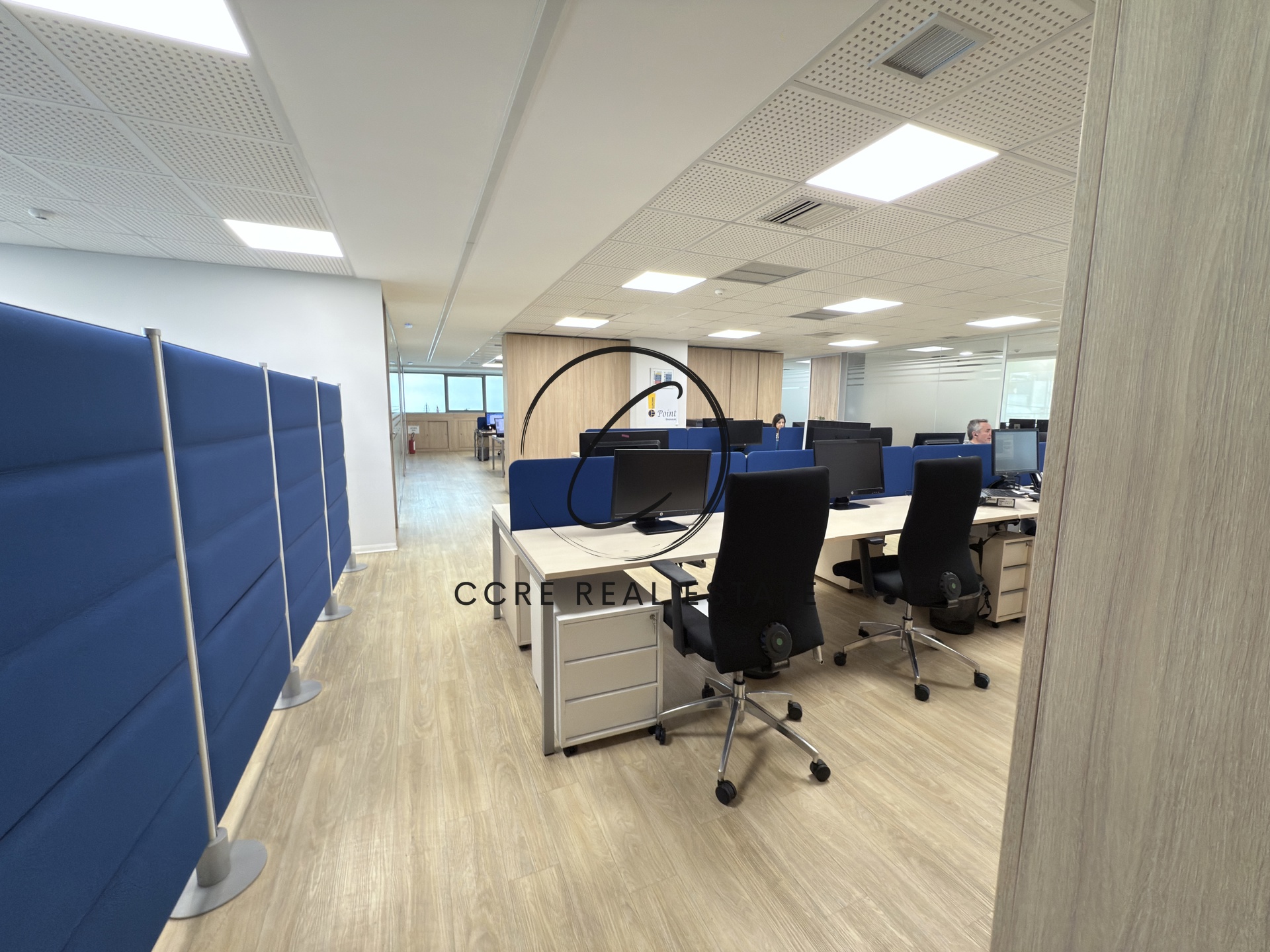 Gallery image 6