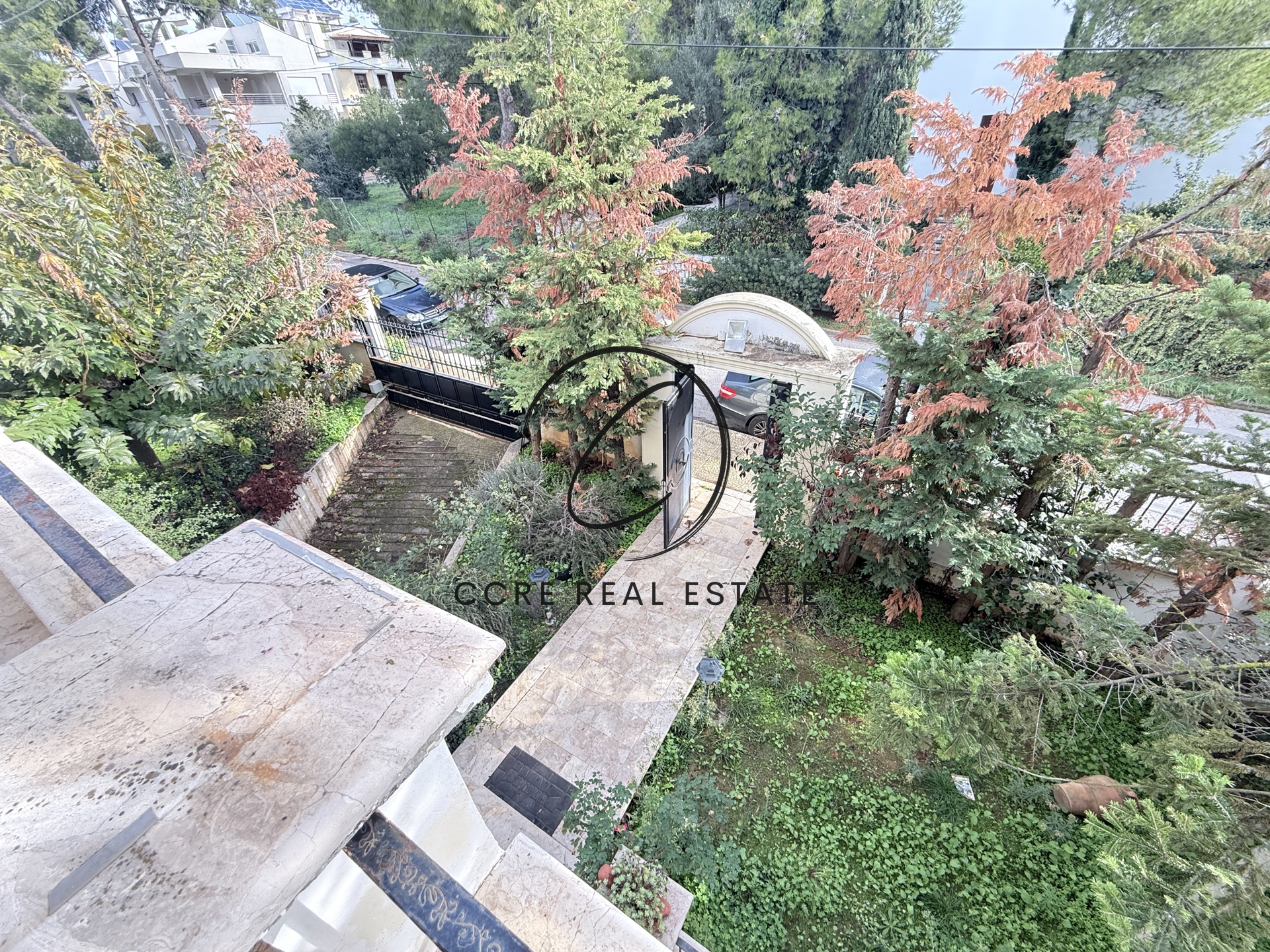 Gallery image 12