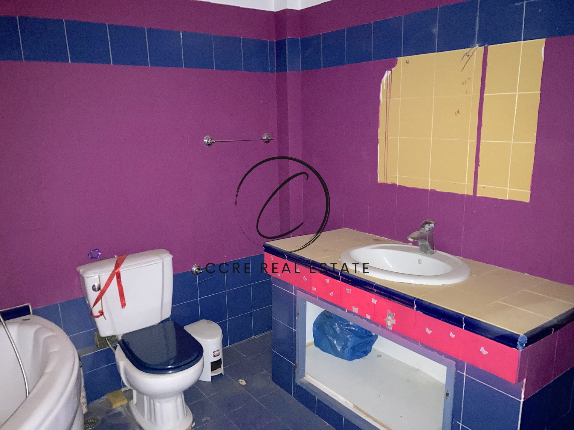 Gallery image 11