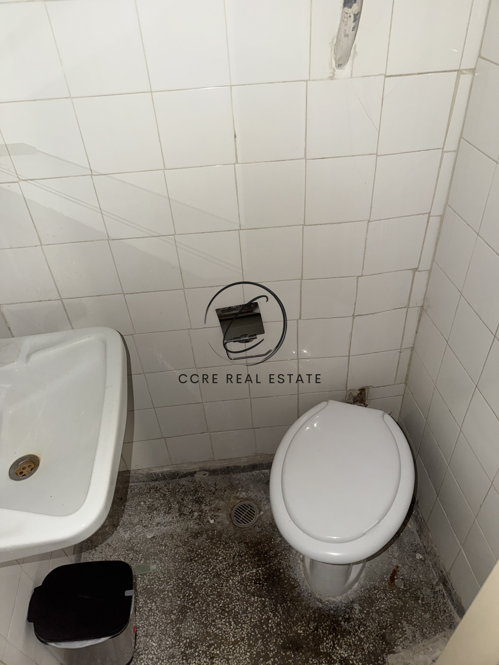 Gallery image 14
