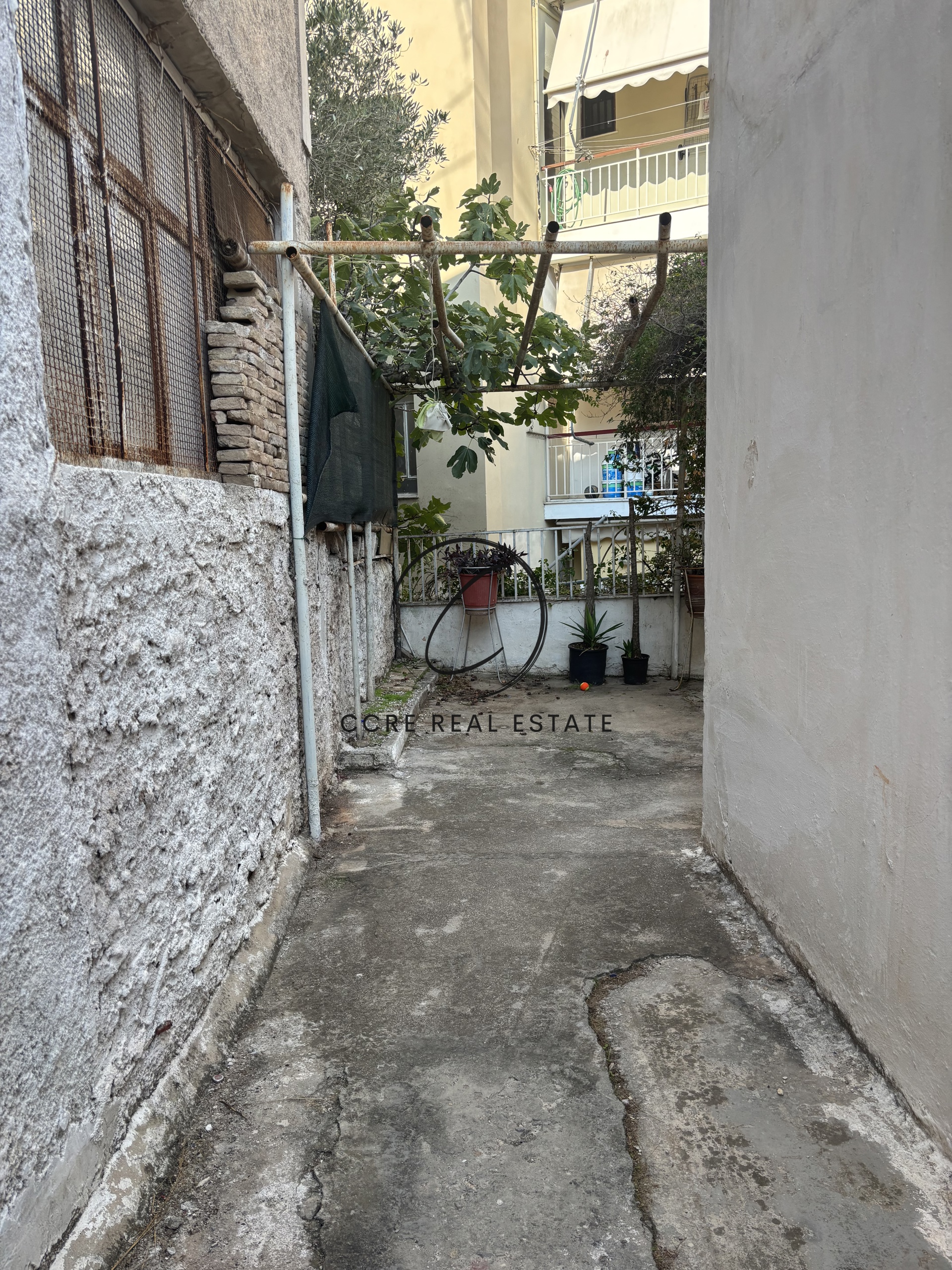 Gallery image 15