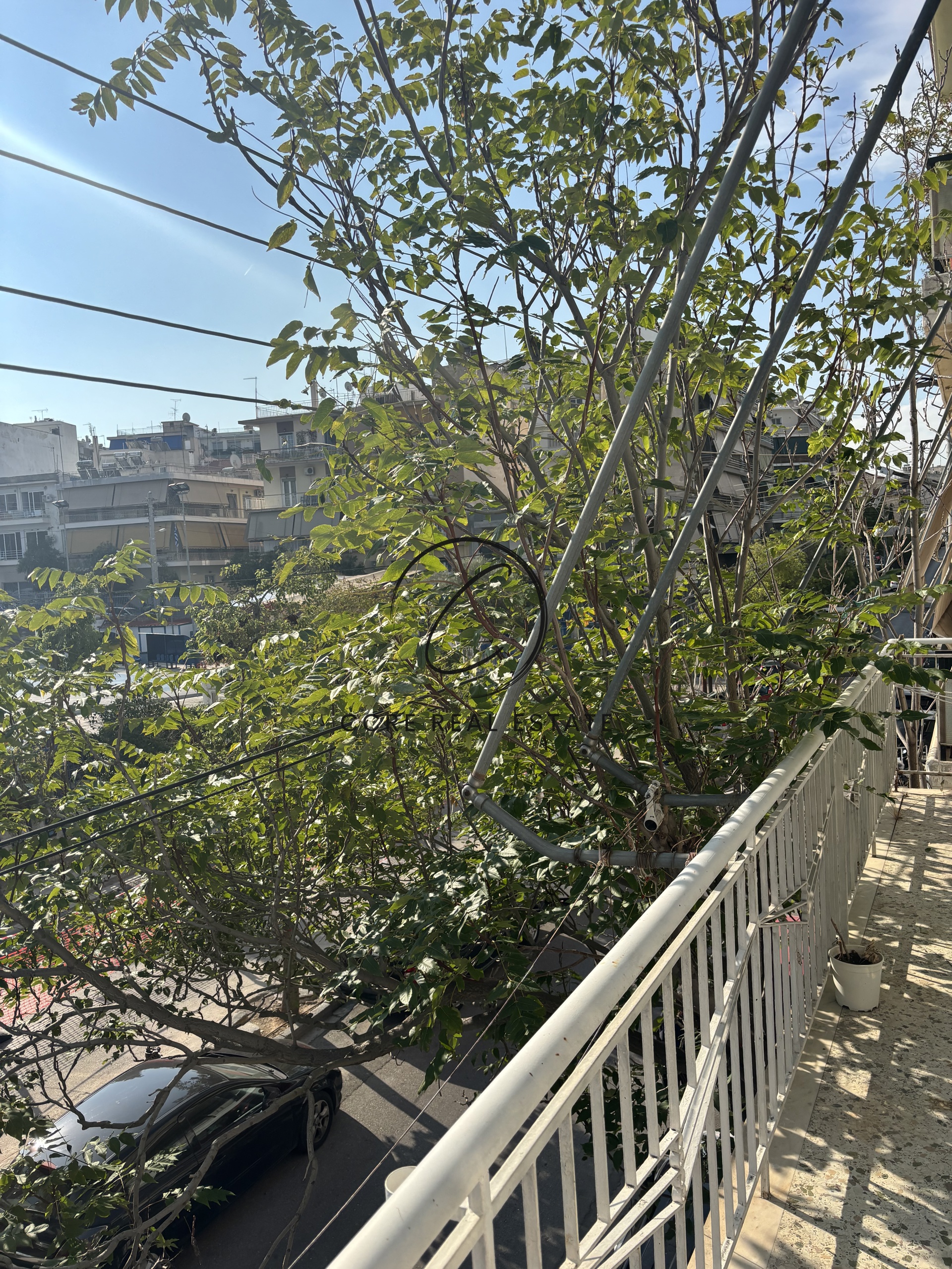 Gallery image 13