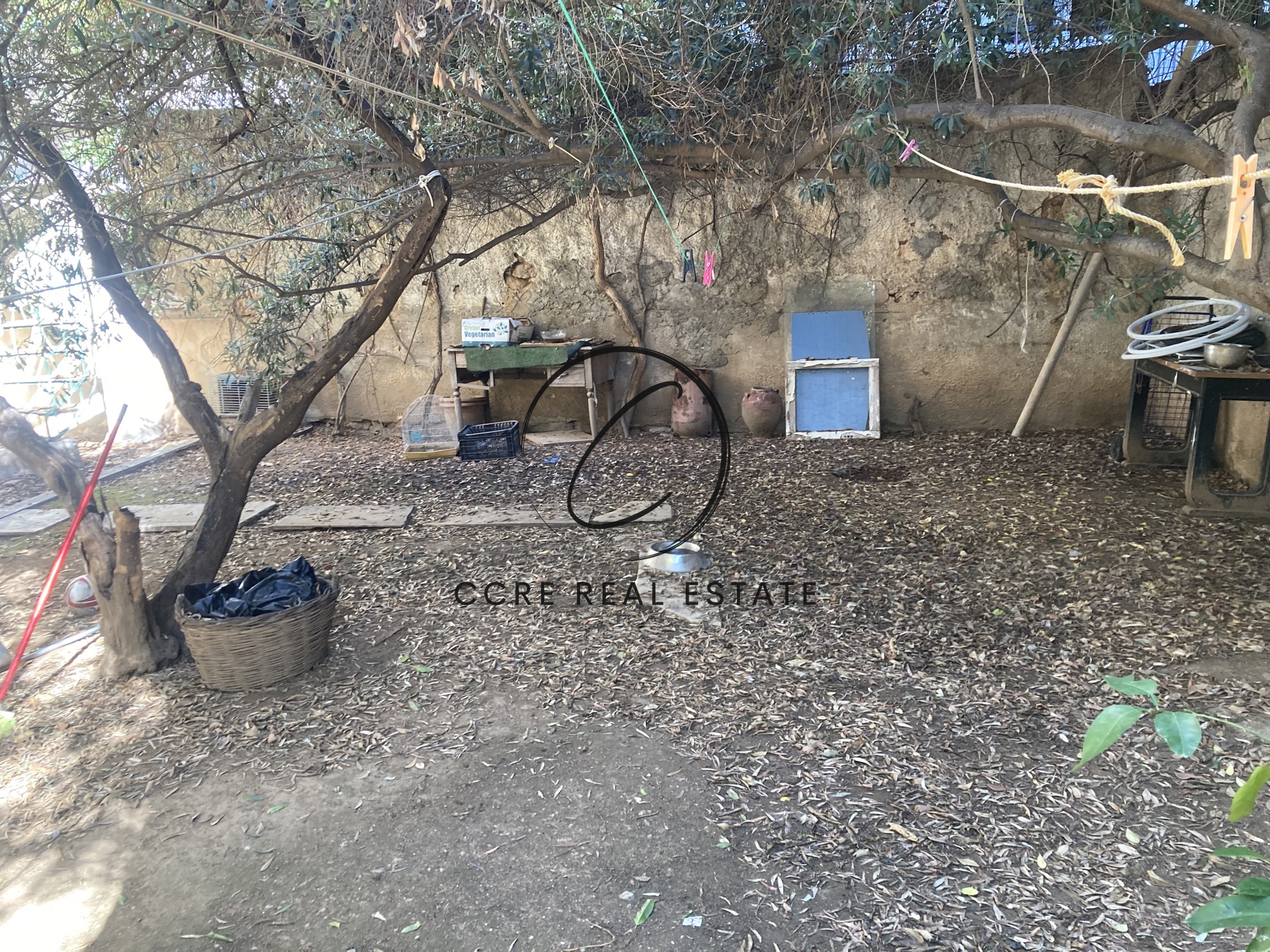 Gallery image 10