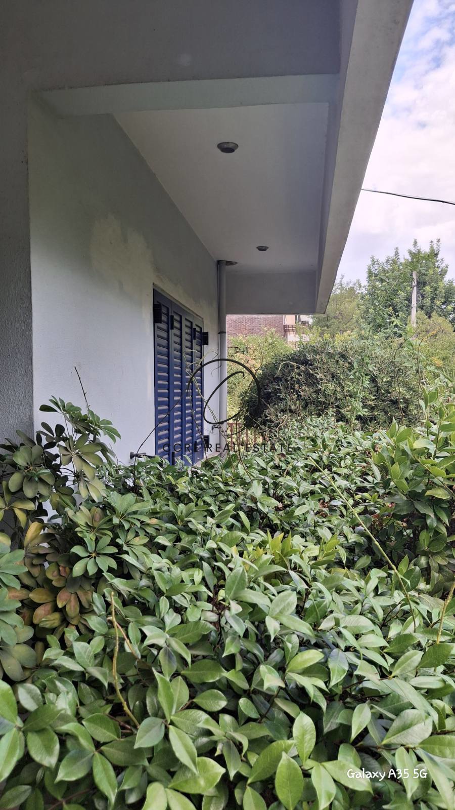 Gallery image 14