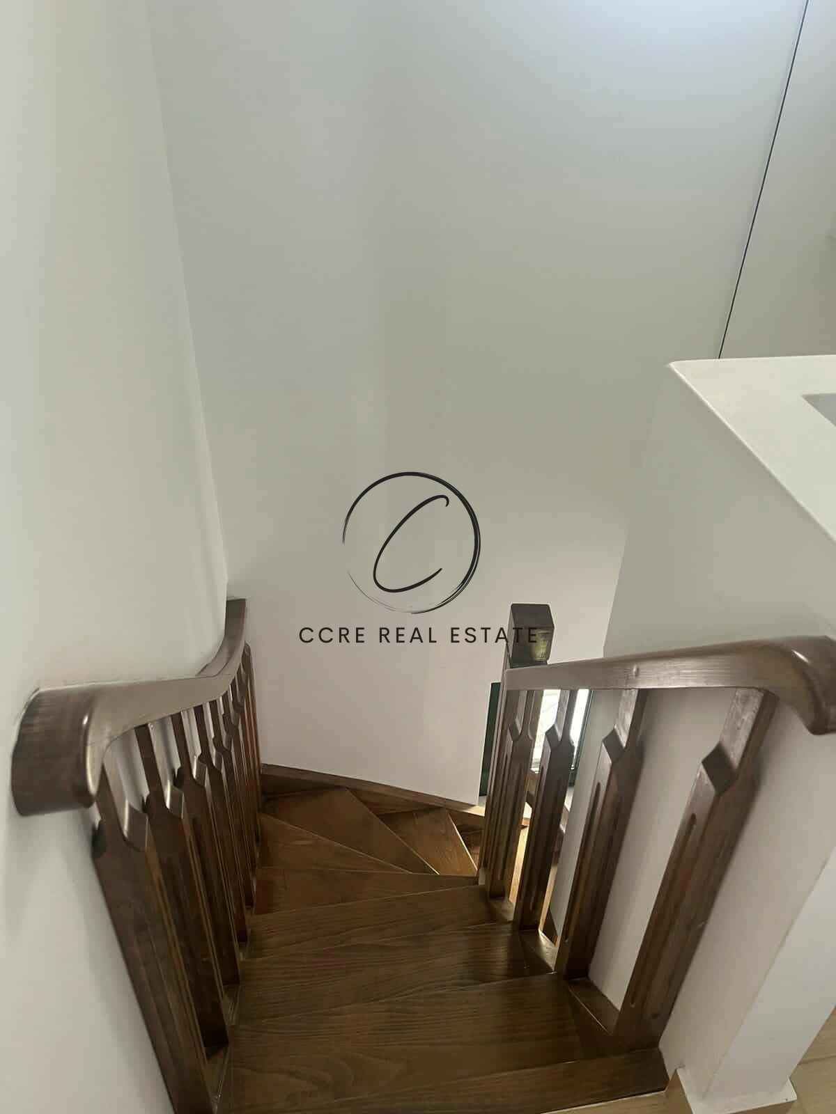 Gallery image 13
