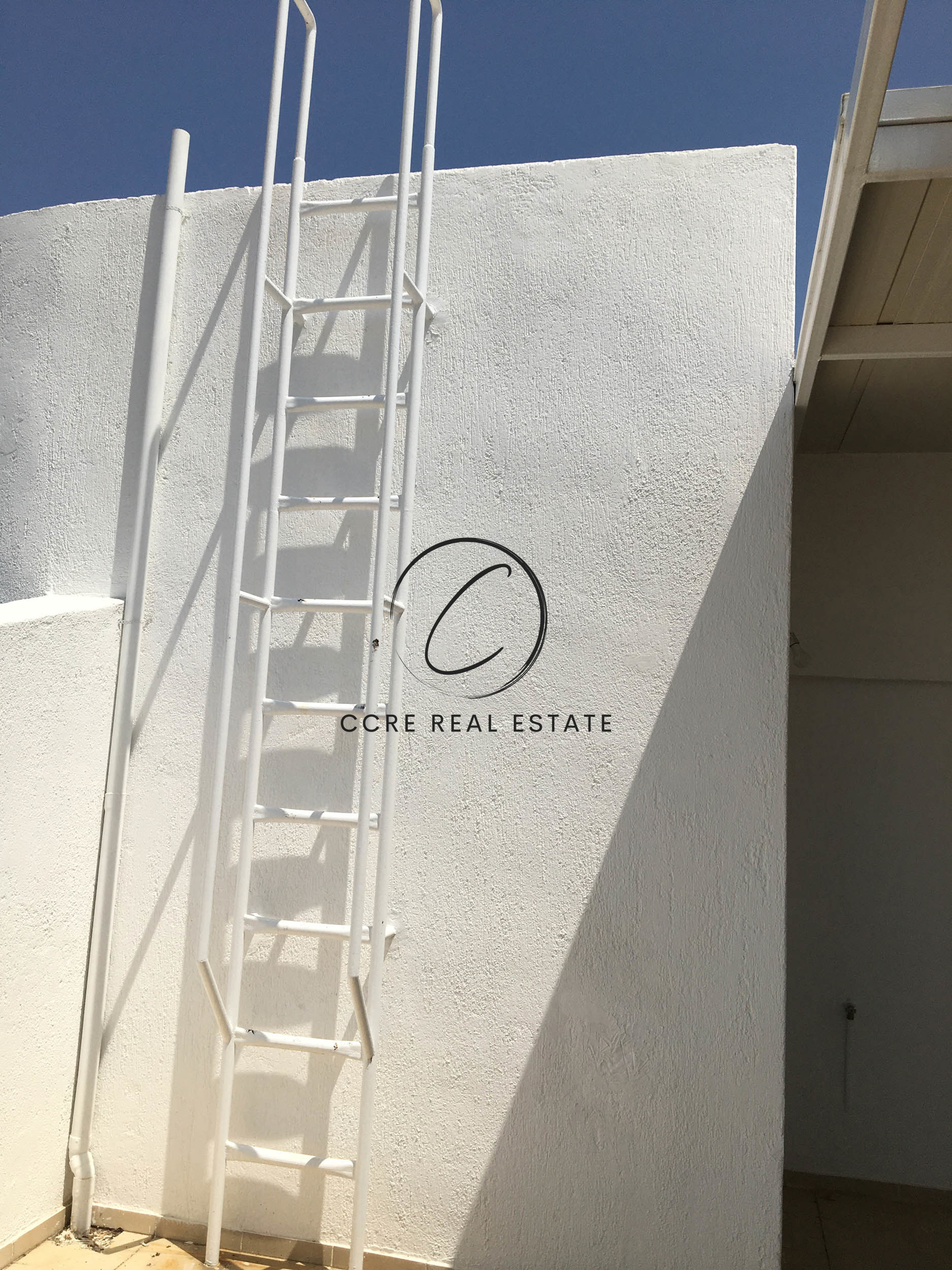 Gallery image 18