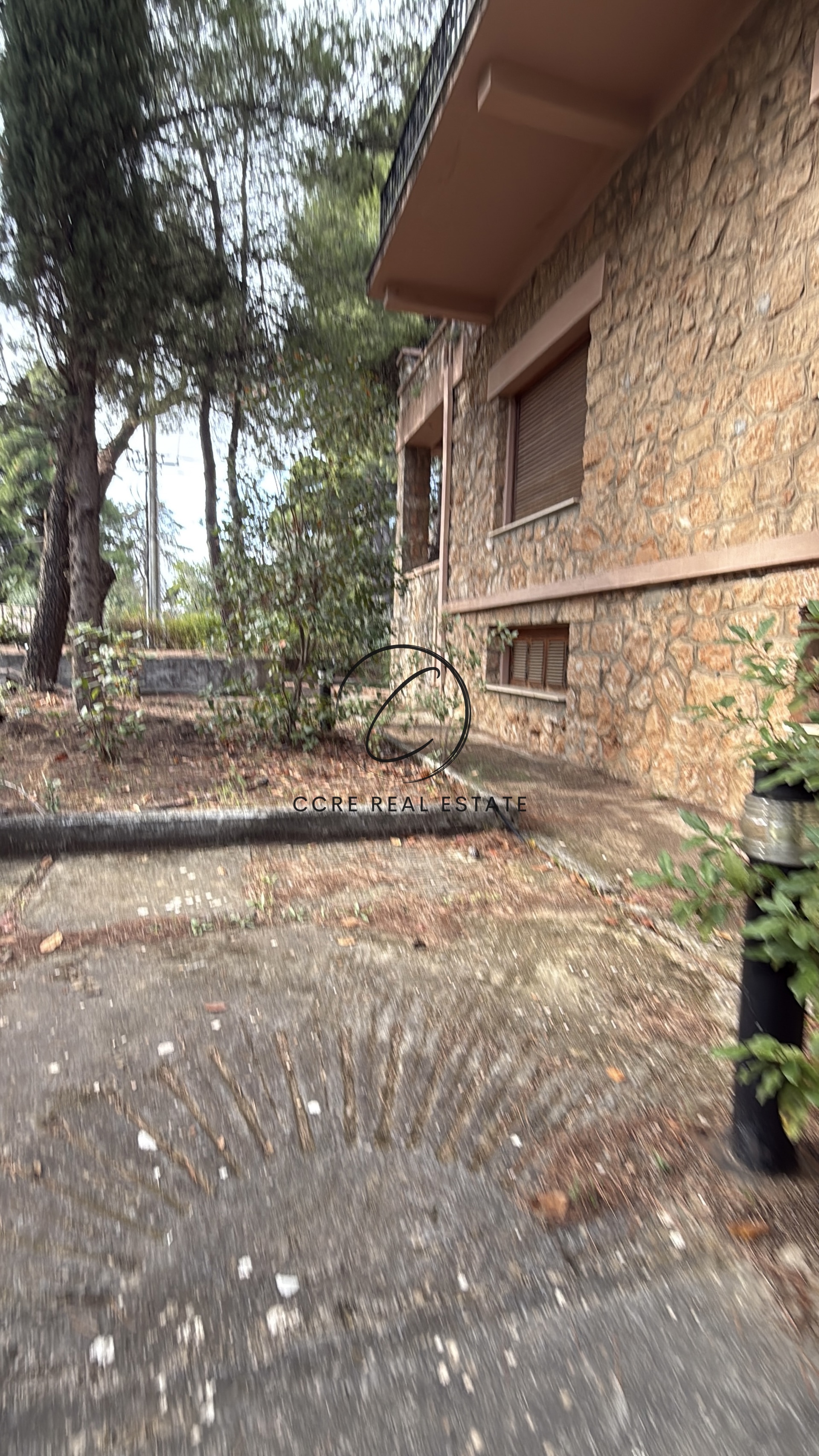 Gallery image 18