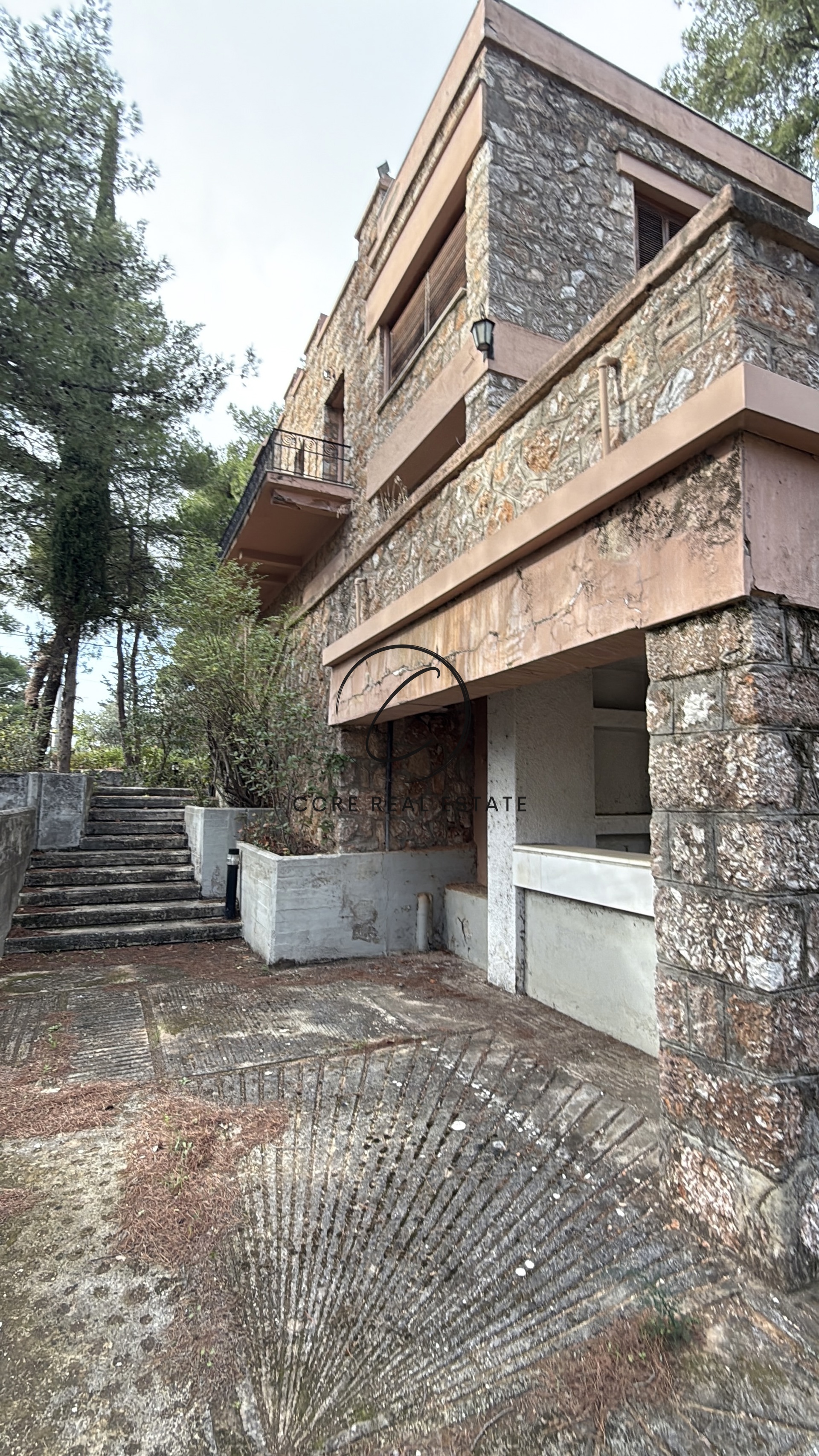 Gallery image 6