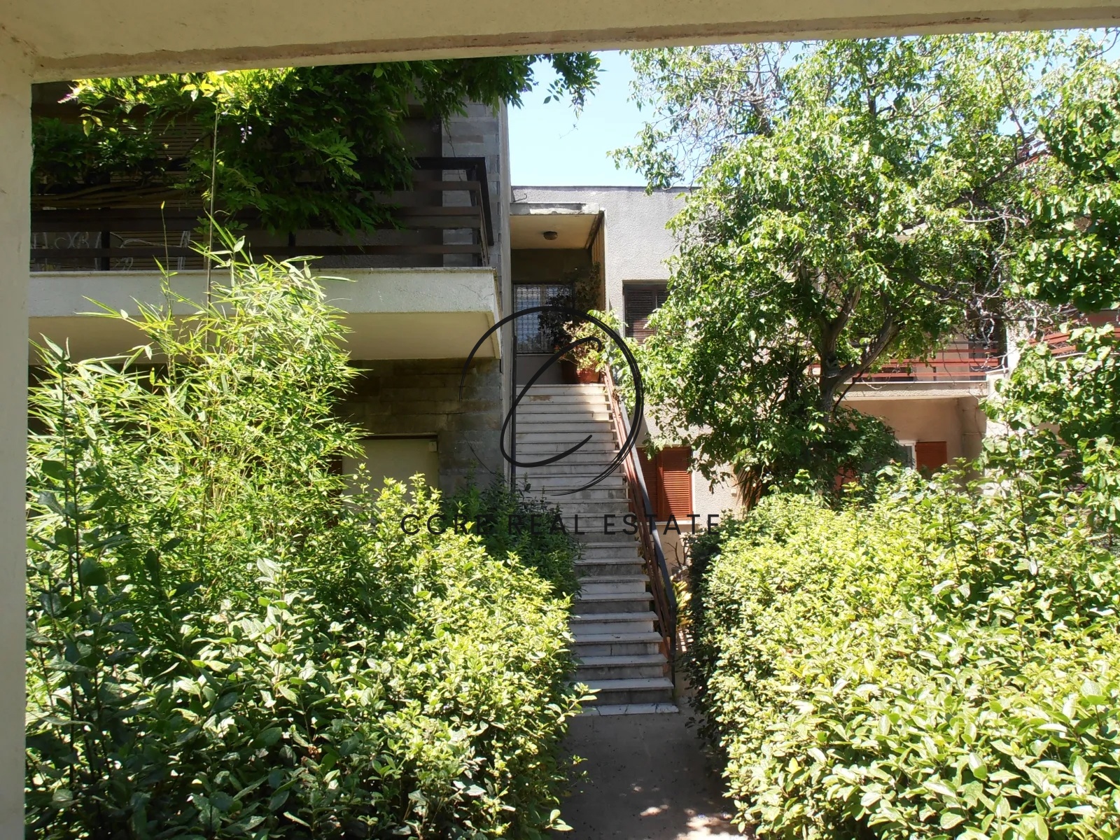 Gallery image 8