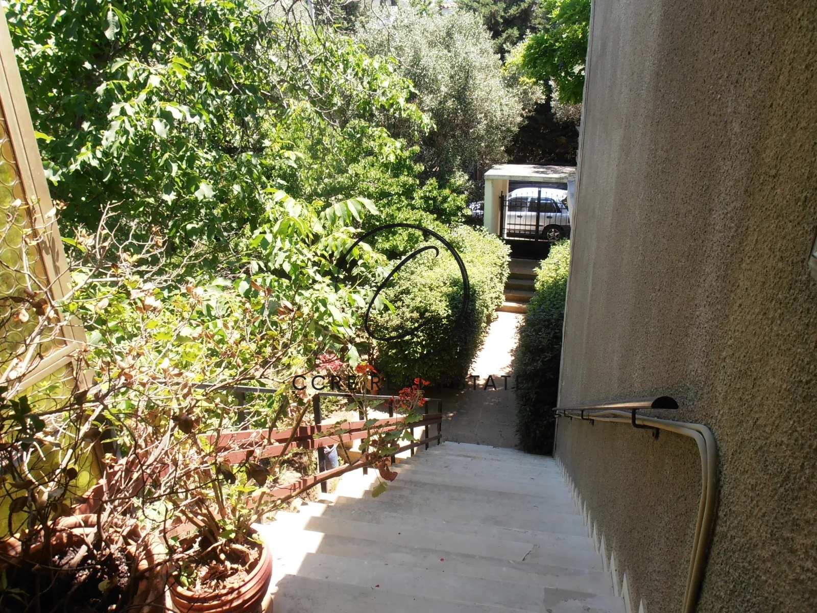 Gallery image 13