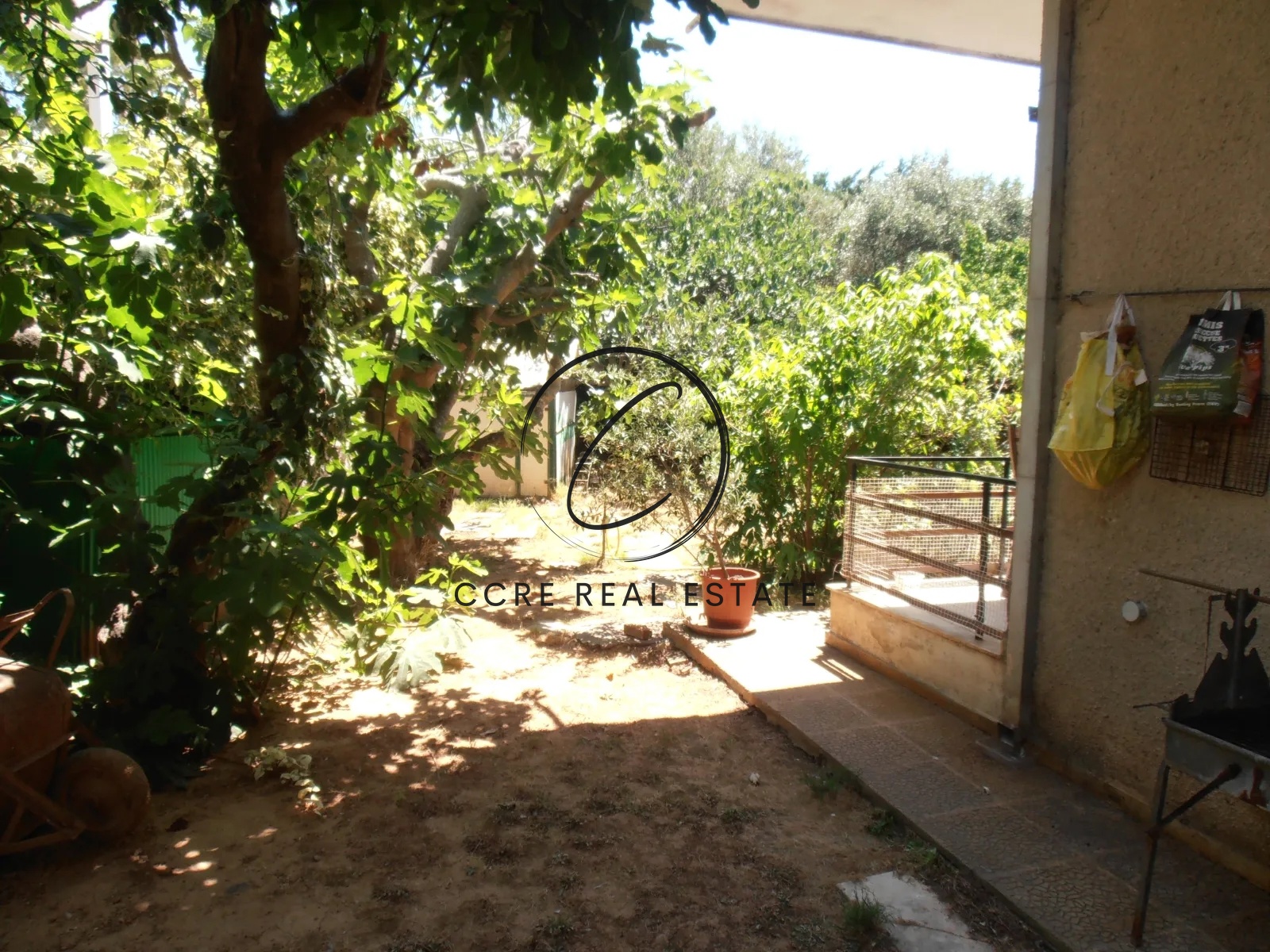 Gallery image 10