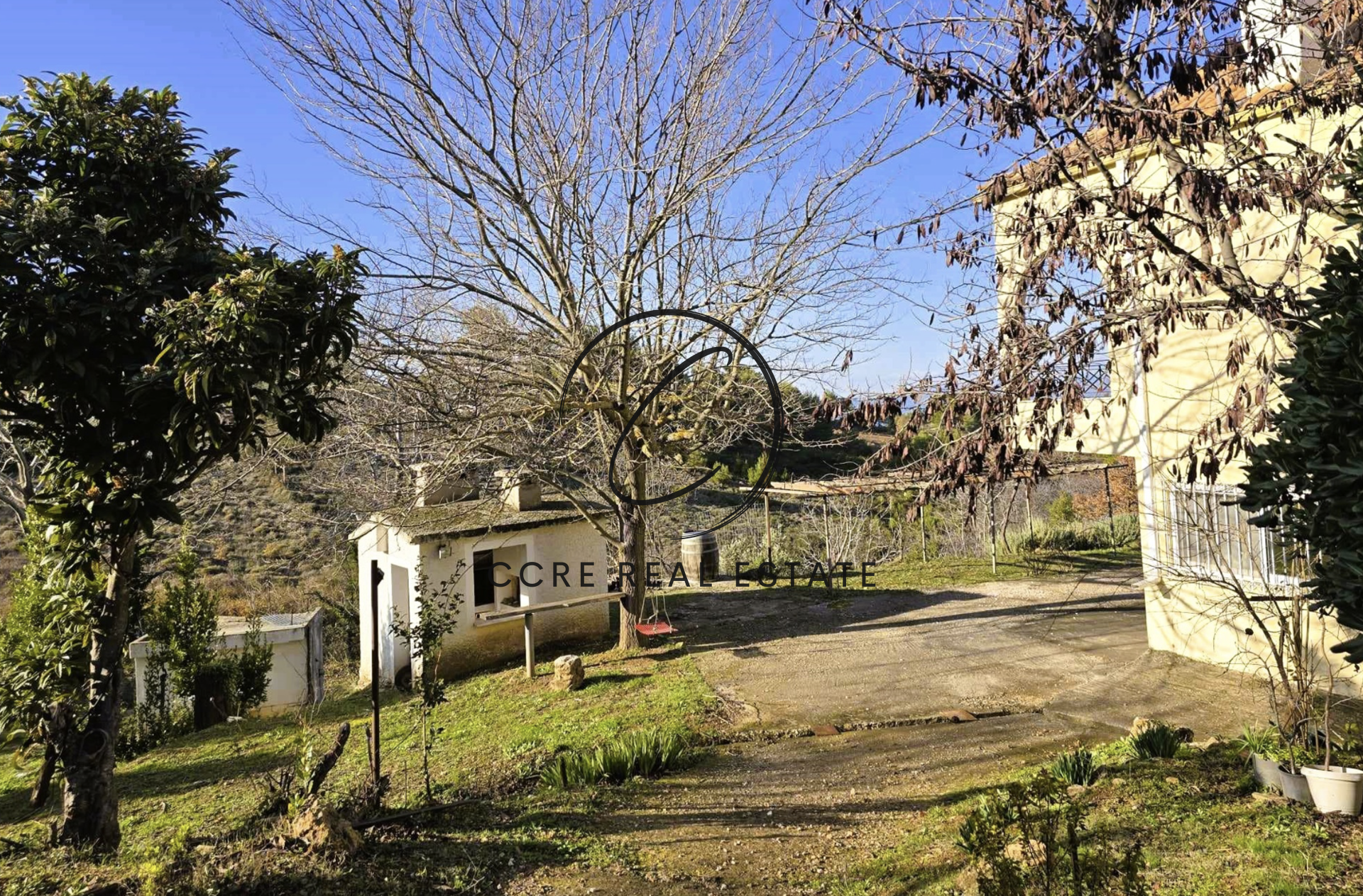 Gallery image 14