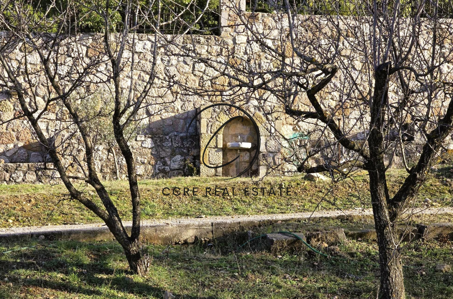 Gallery image 16