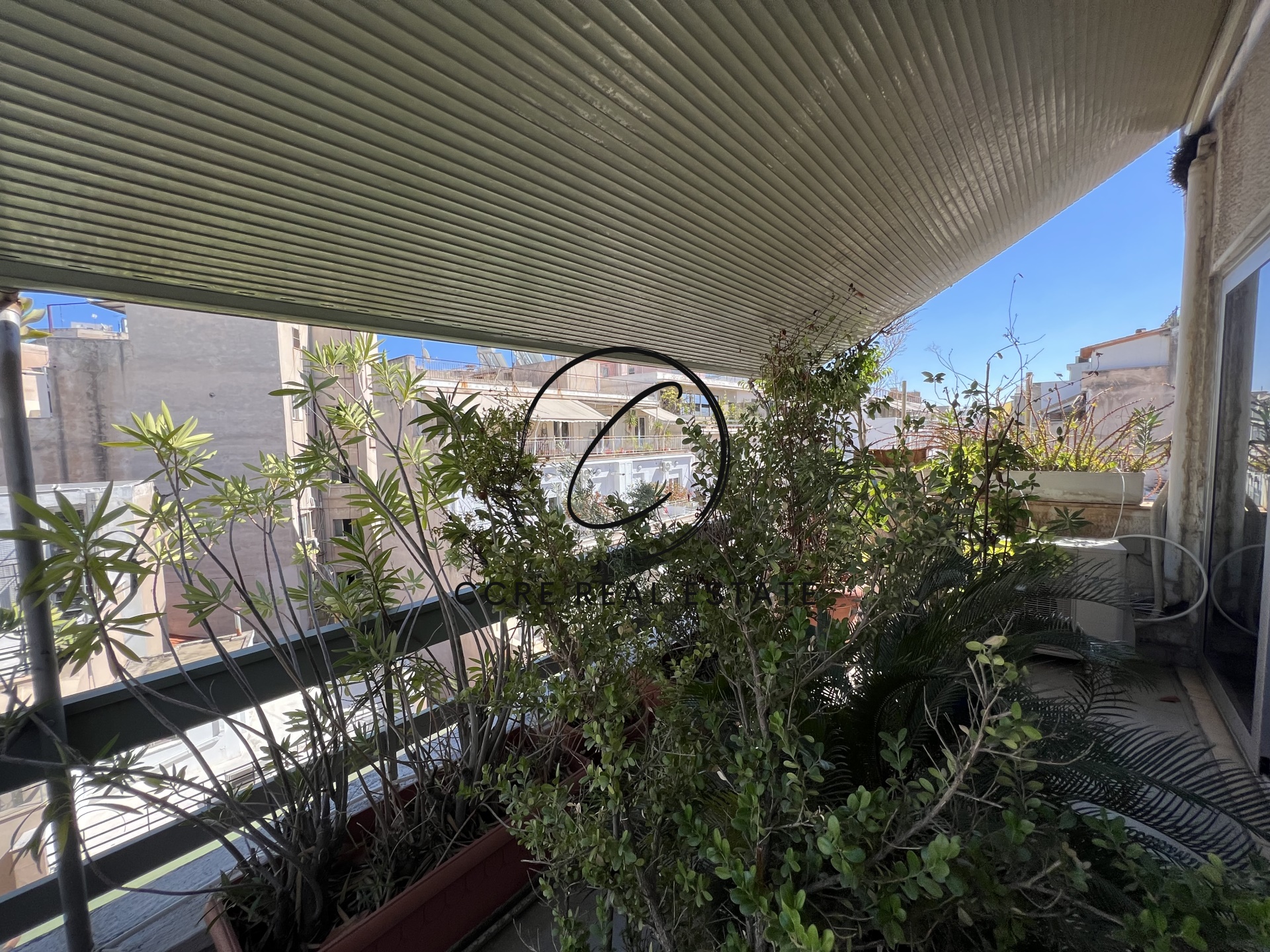 Gallery image 7