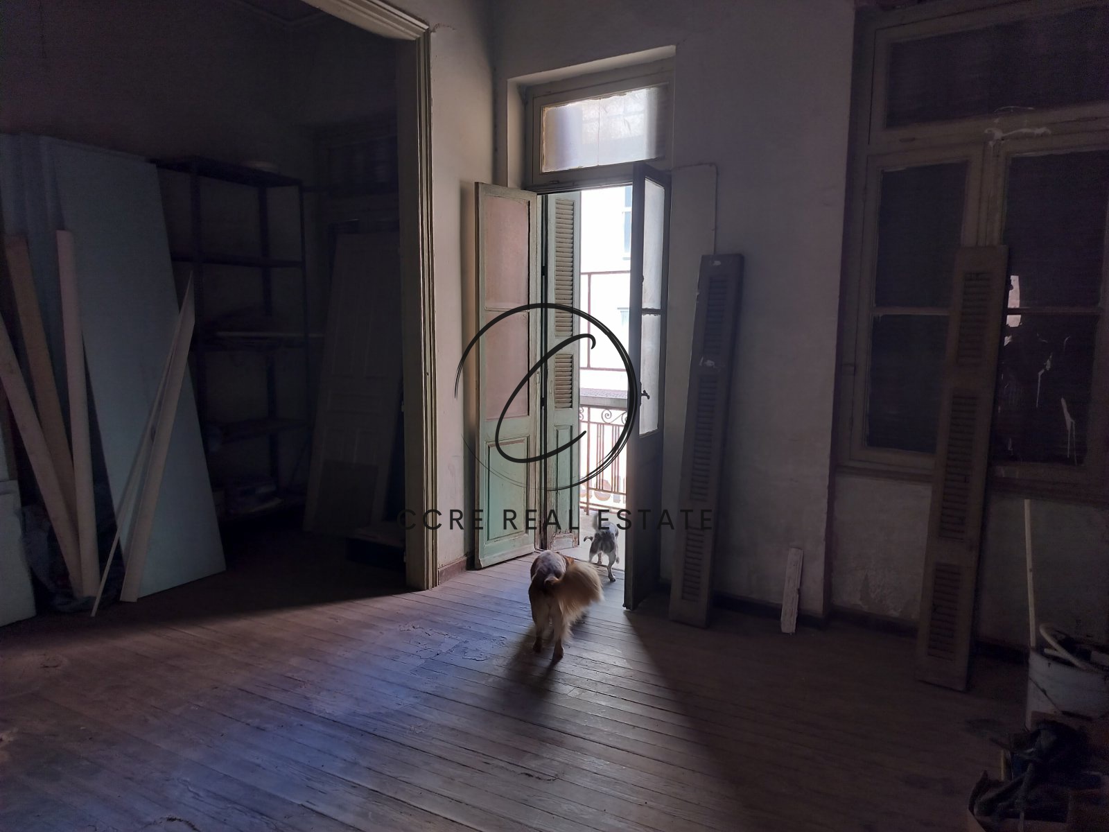Gallery image 15