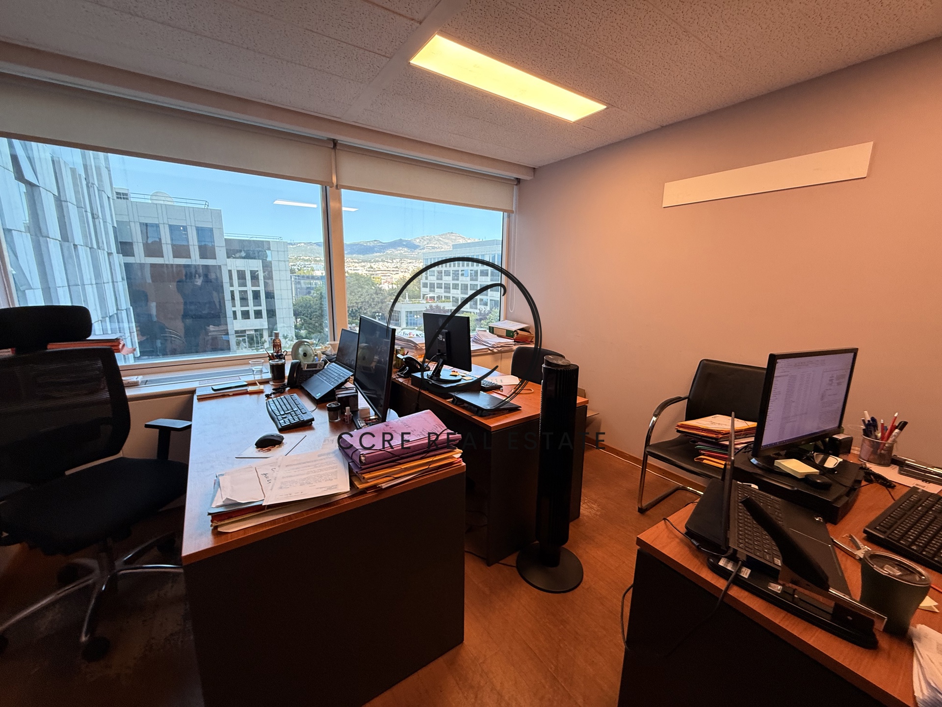 Gallery image 10