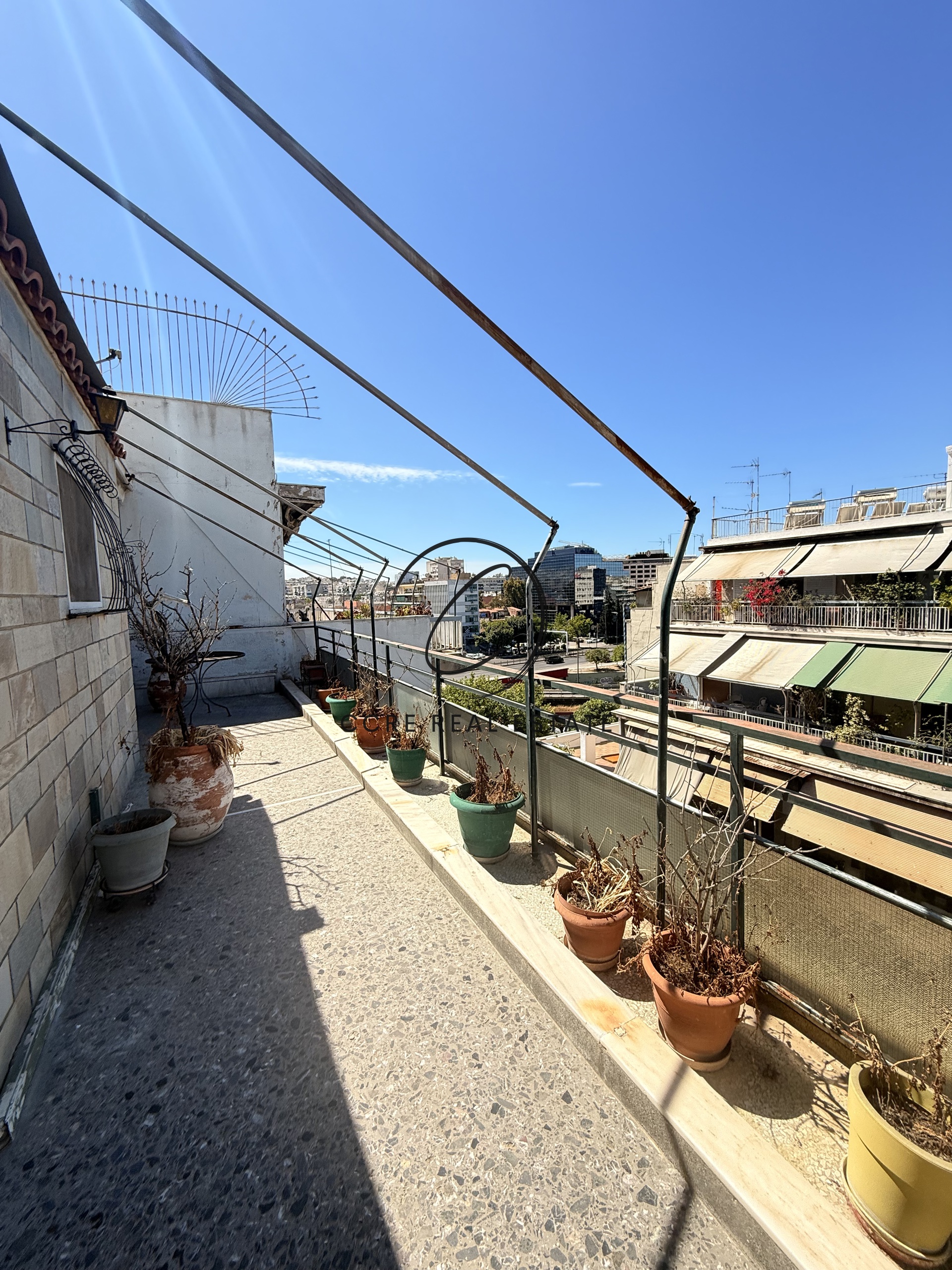 Gallery image 13