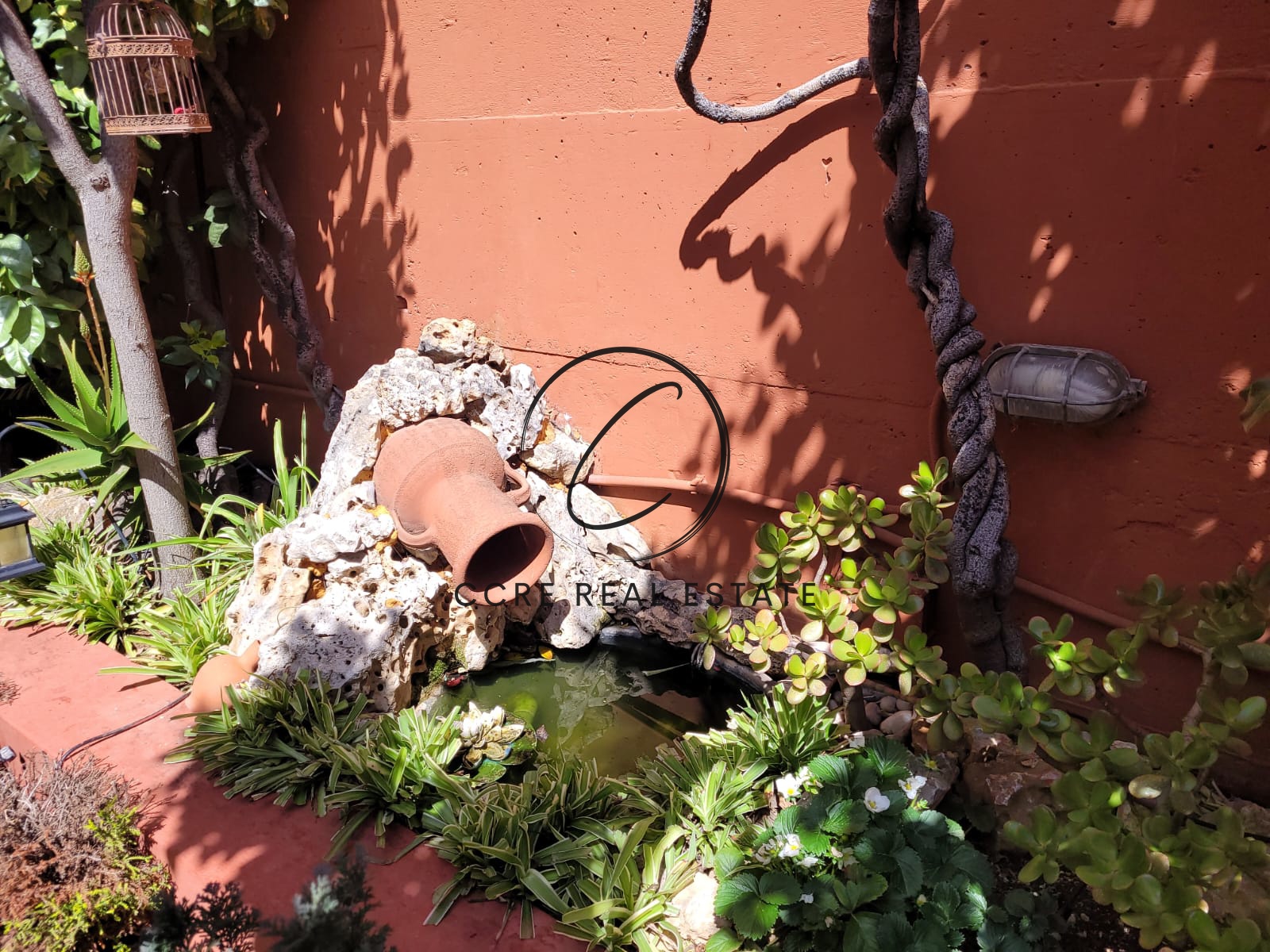 Gallery image 6
