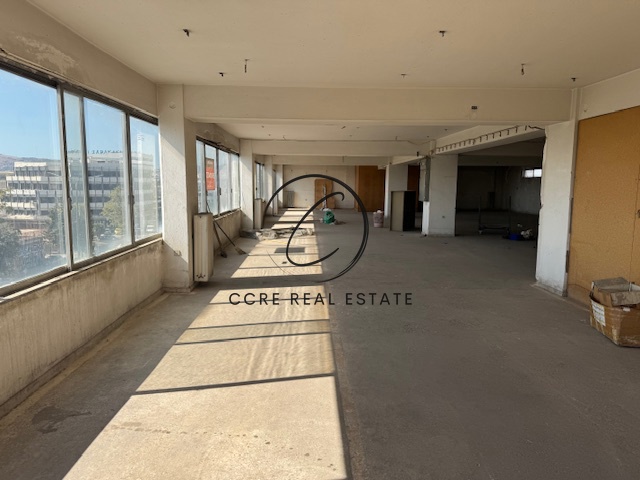 Gallery image 6