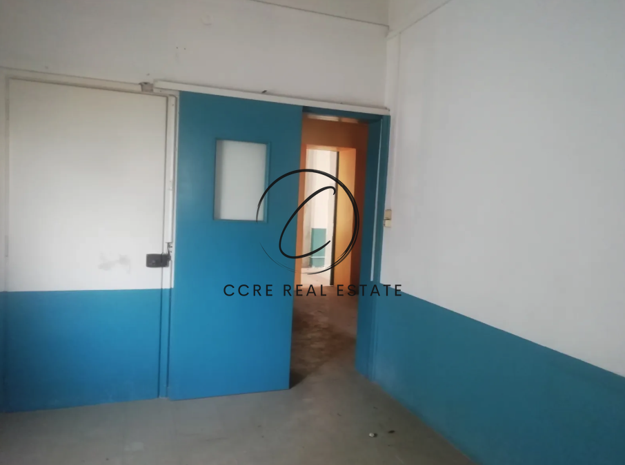 Gallery image 11